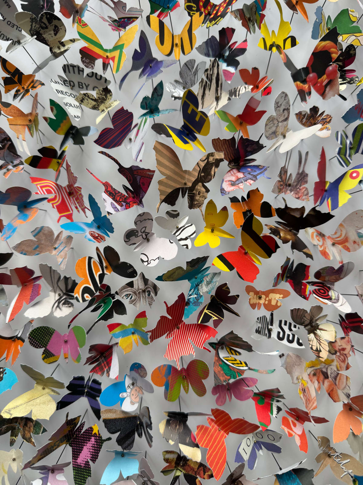 Rebecca J Coles, Albums XI