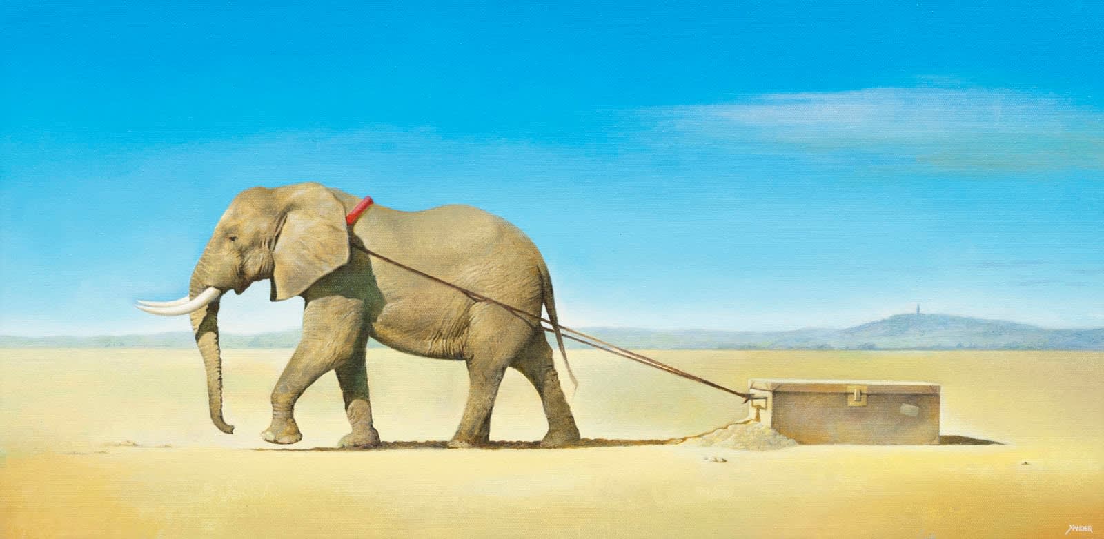 Xander, The Traveller, 2025