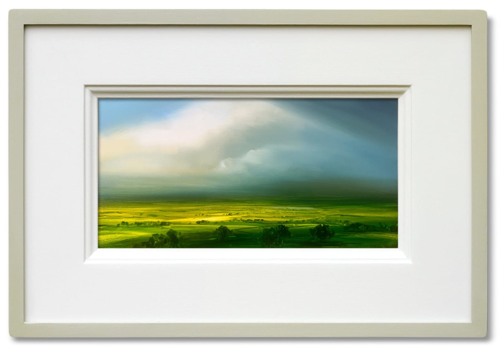 Harry Brioche, Late Afternoon Sun