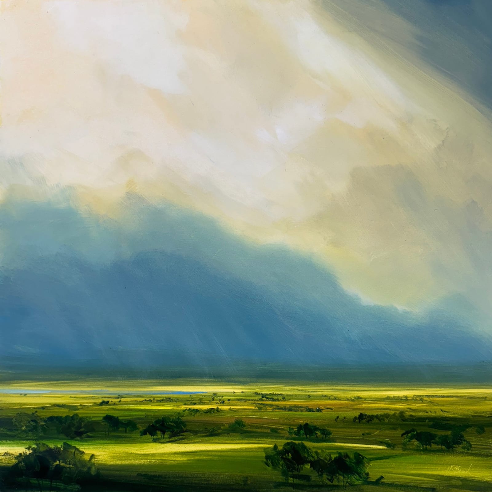 Harry Brioche, Luminous Sky