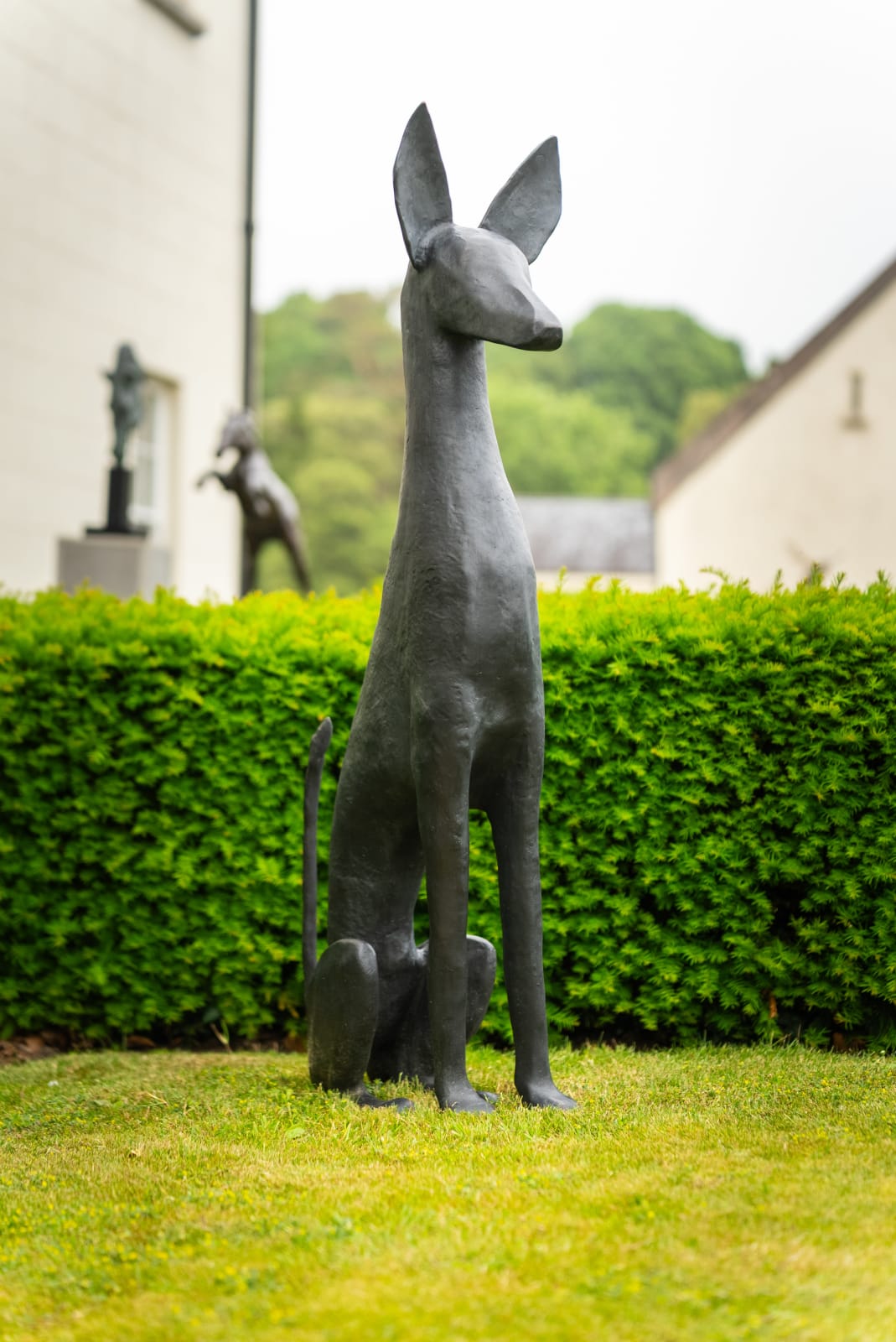 Christopher Stone, Lost Dog