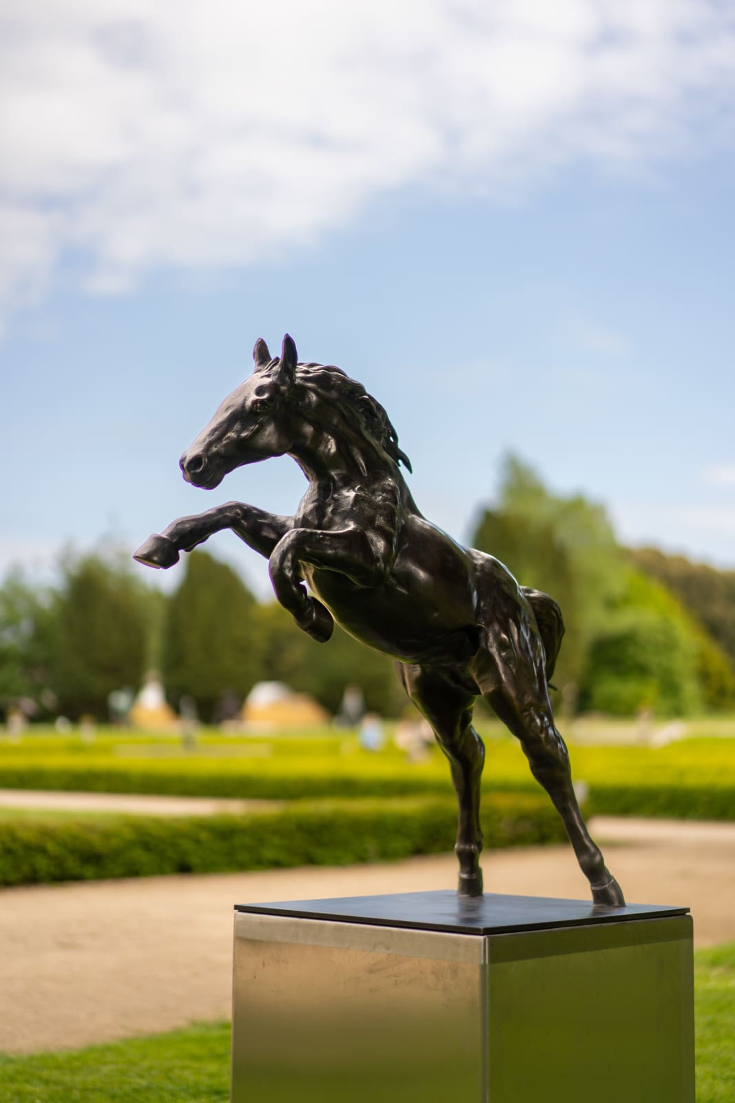 John Fitzgerald, Leap of Faith