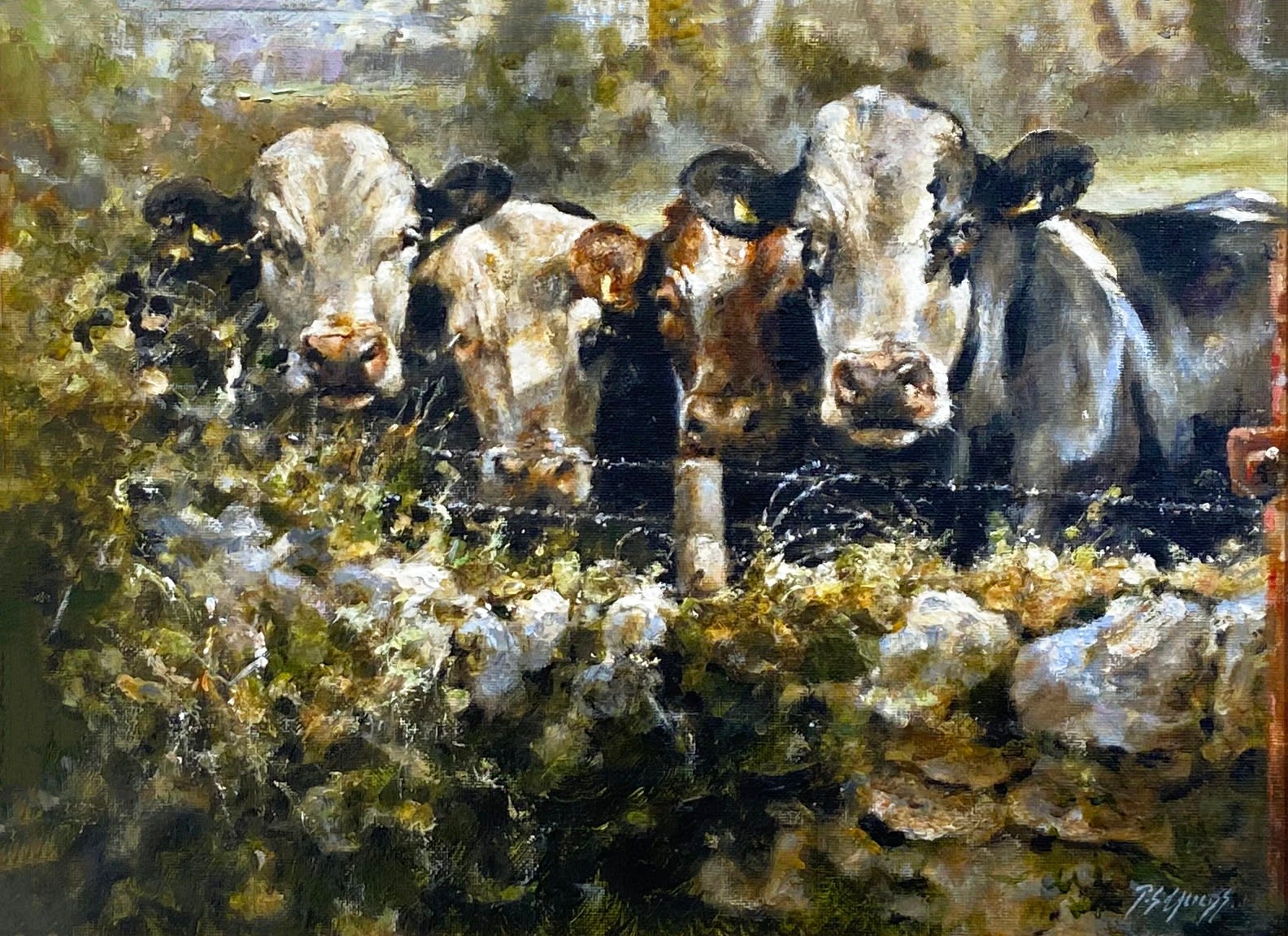 Philip Childs, Greetings from Mount Leinster IV