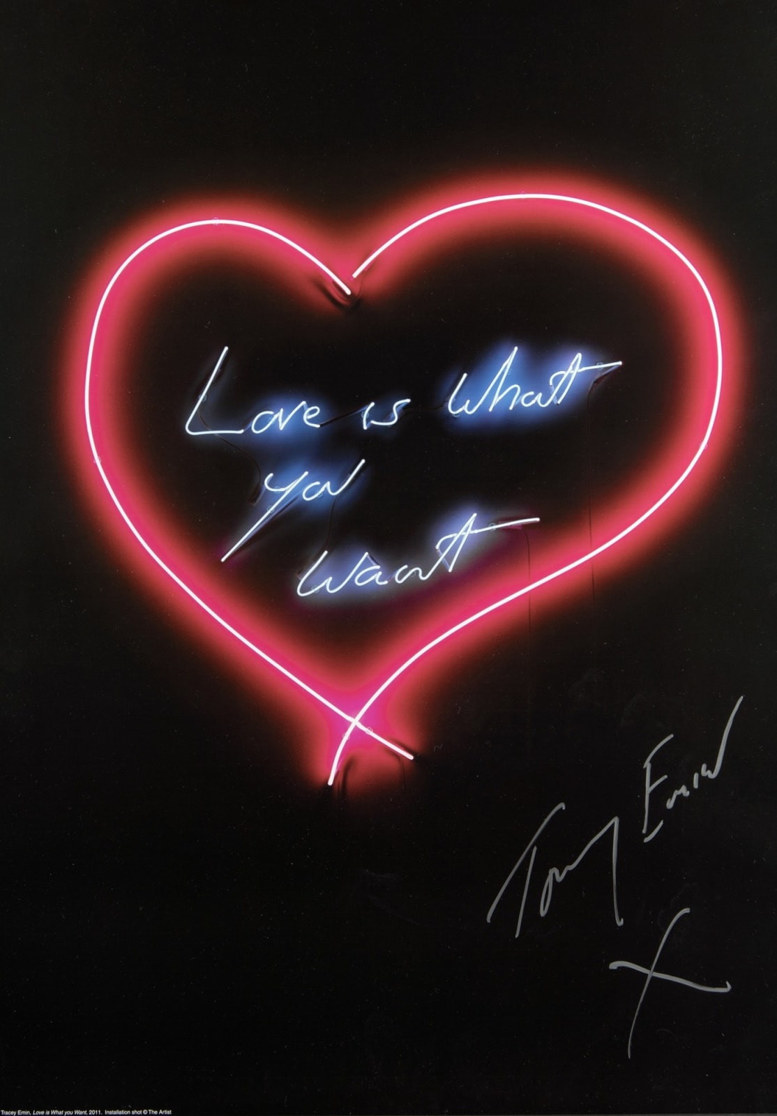 Tracey Emin, Love is What You Want, 2015