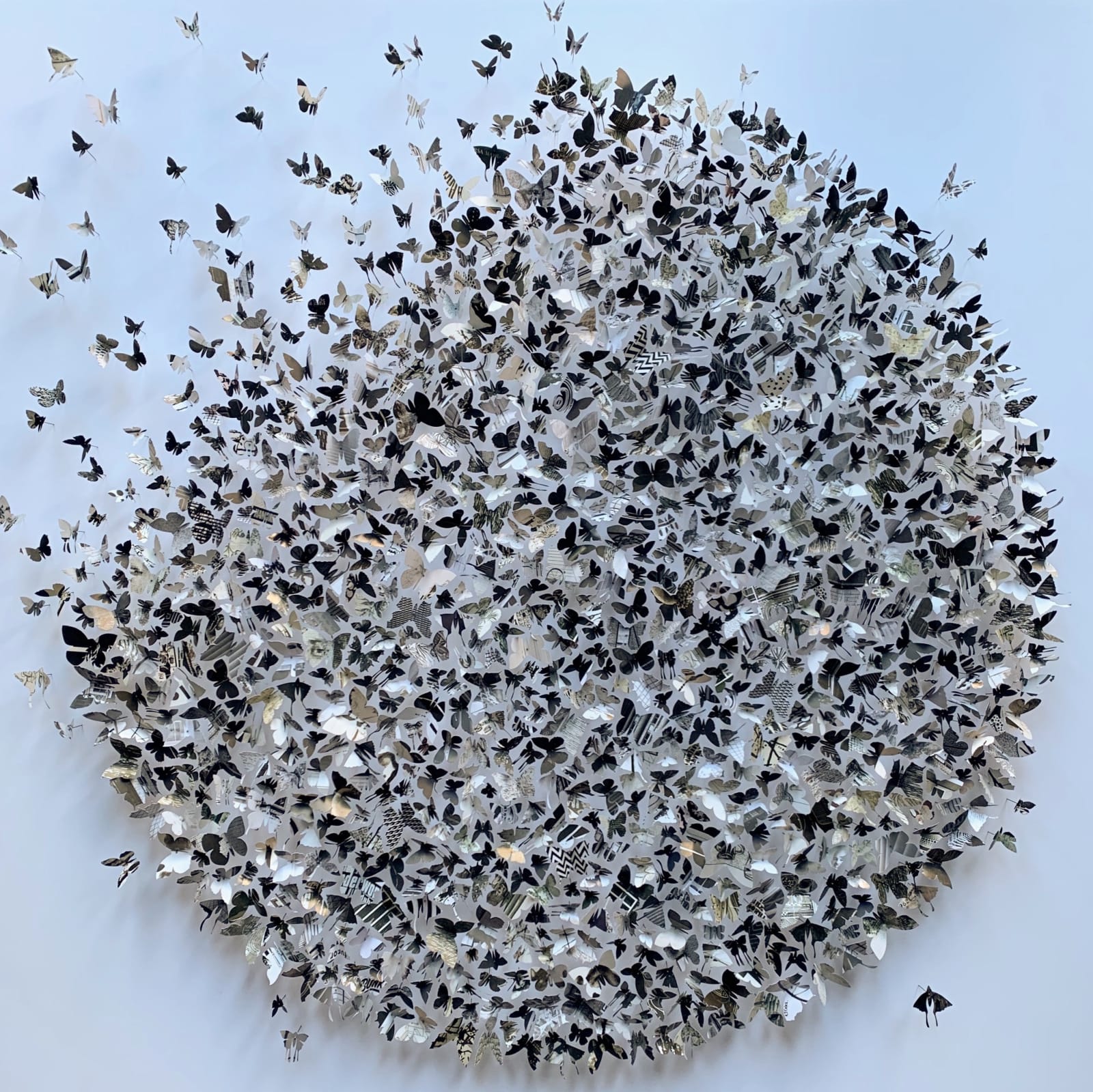 Rebecca J Coles, Black & White 02