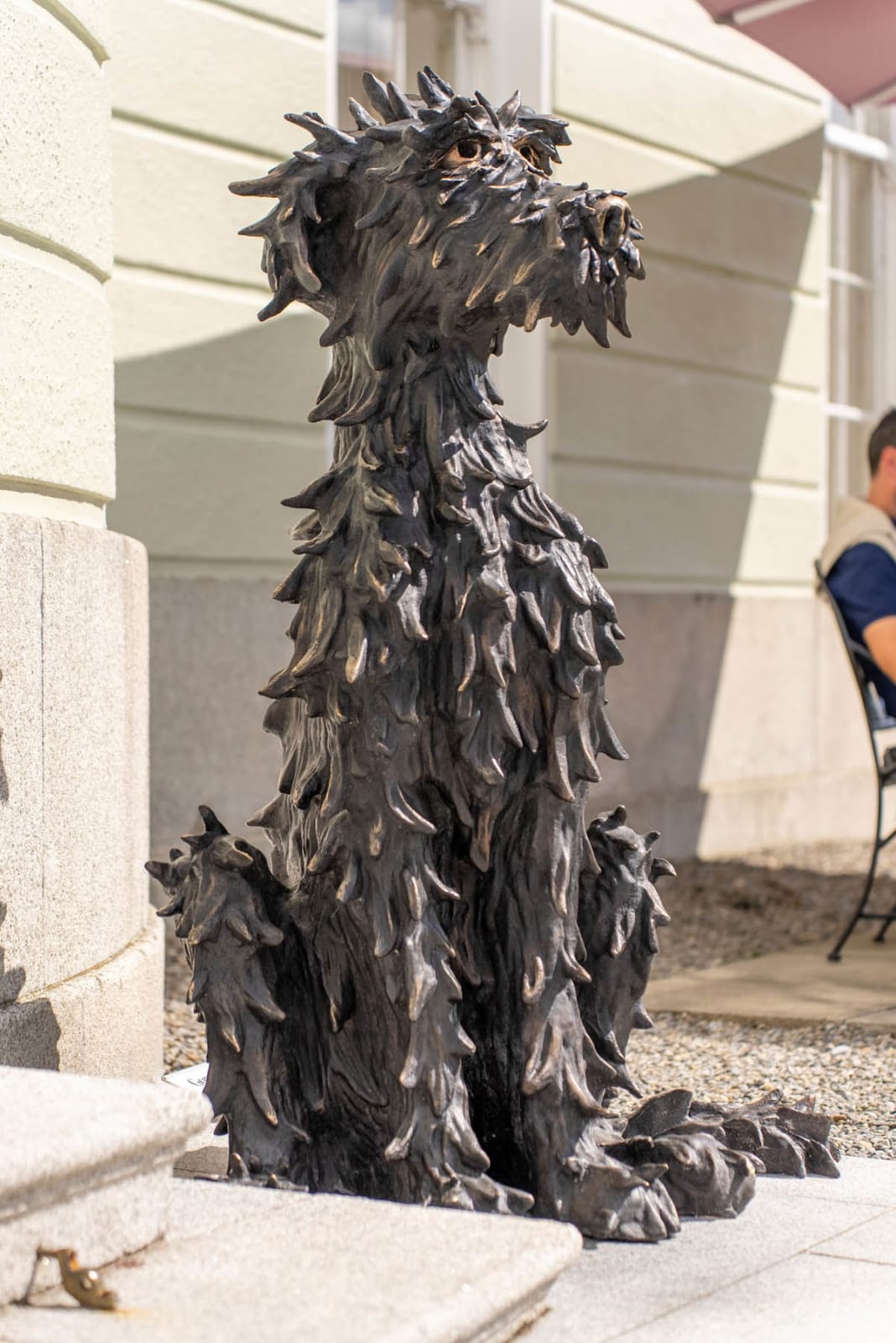 Patrick O'Reilly, Irish Wolfhound