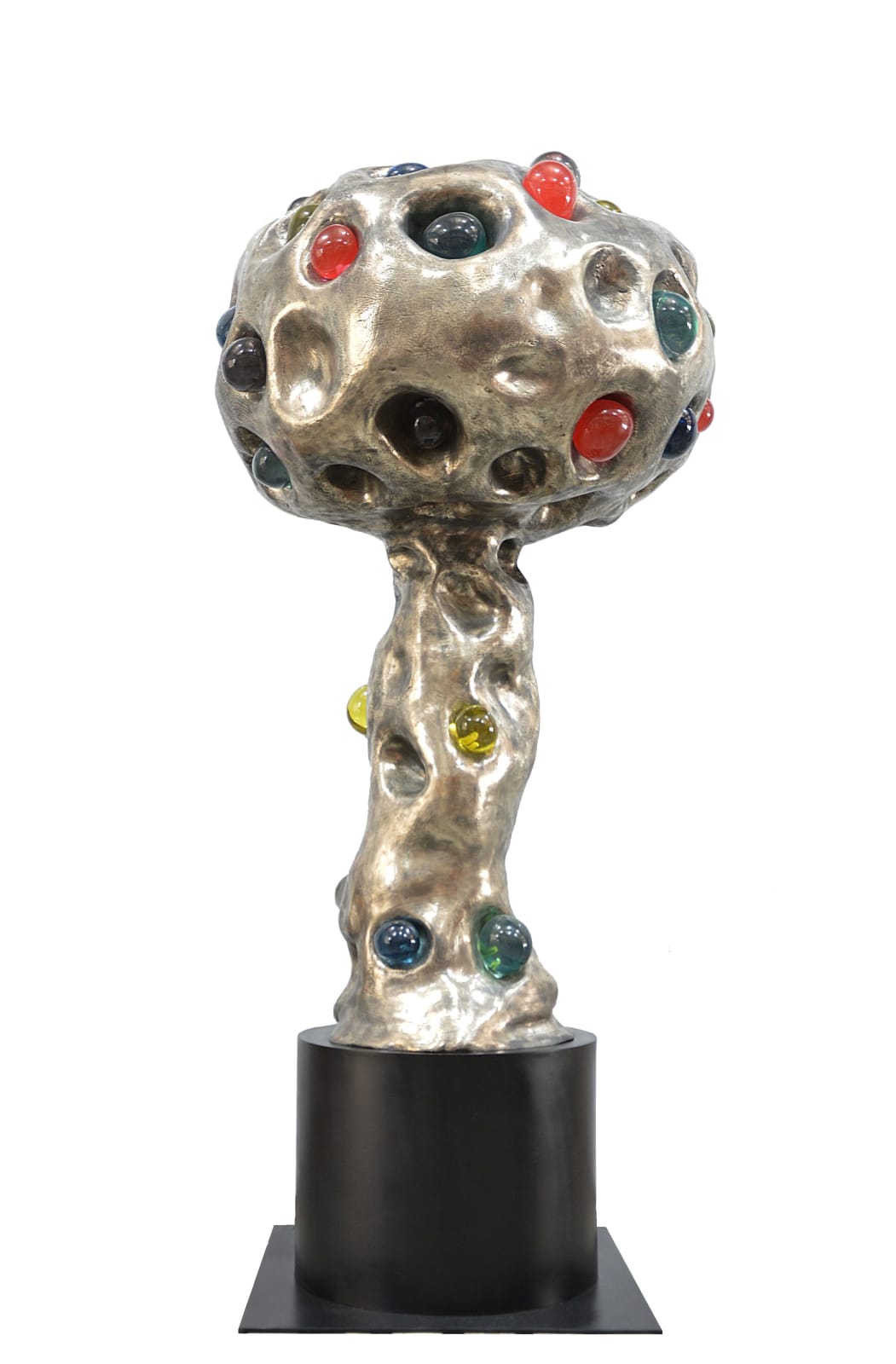 Patrick O'Reilly, Magic Tree