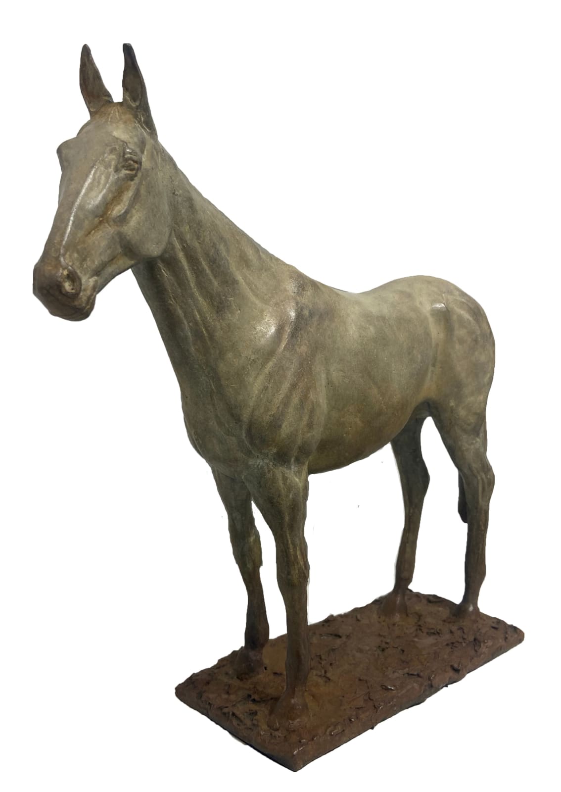 John Fitzgerald, Still