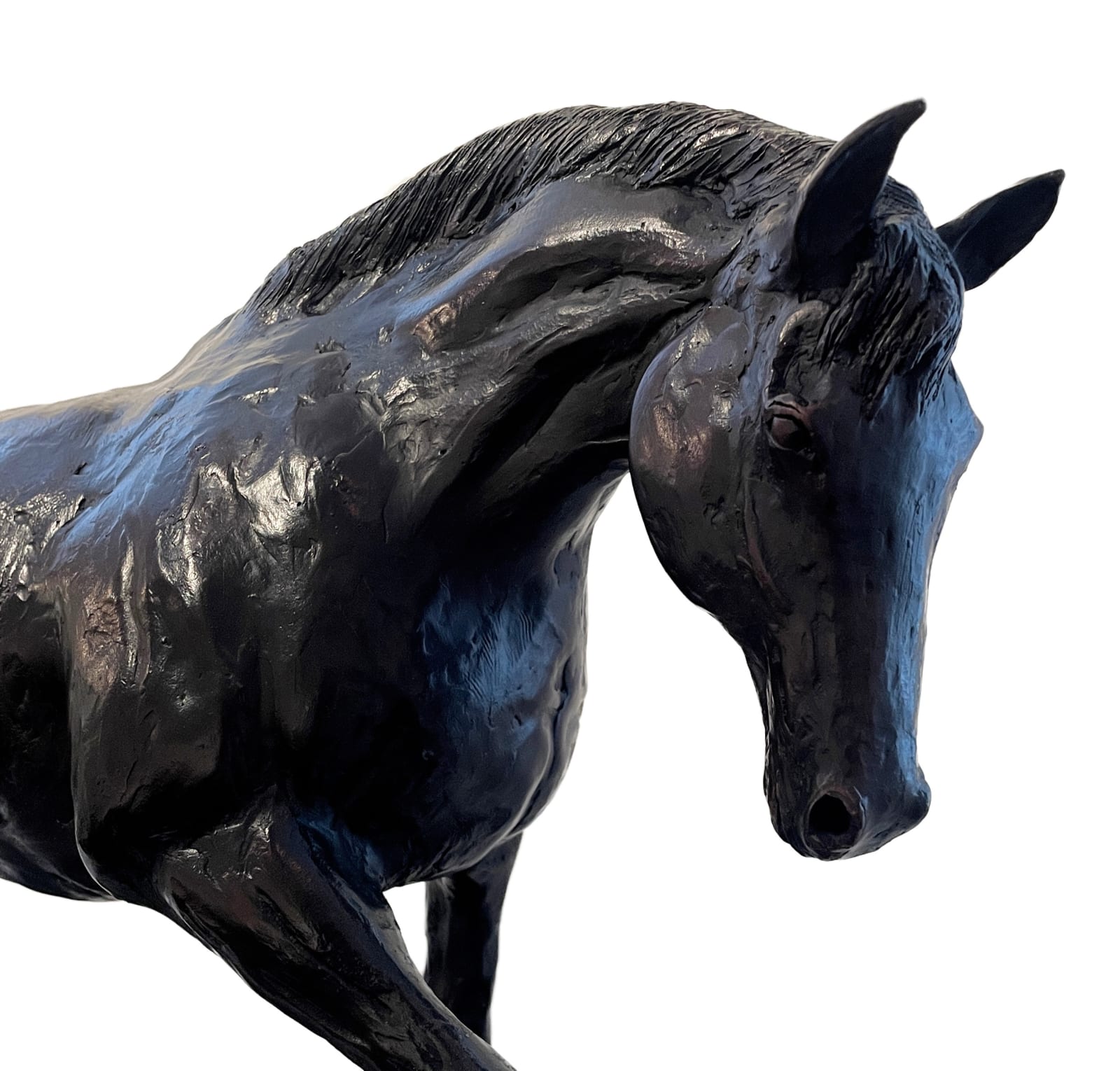 John Fitzgerald, Walking Stallion