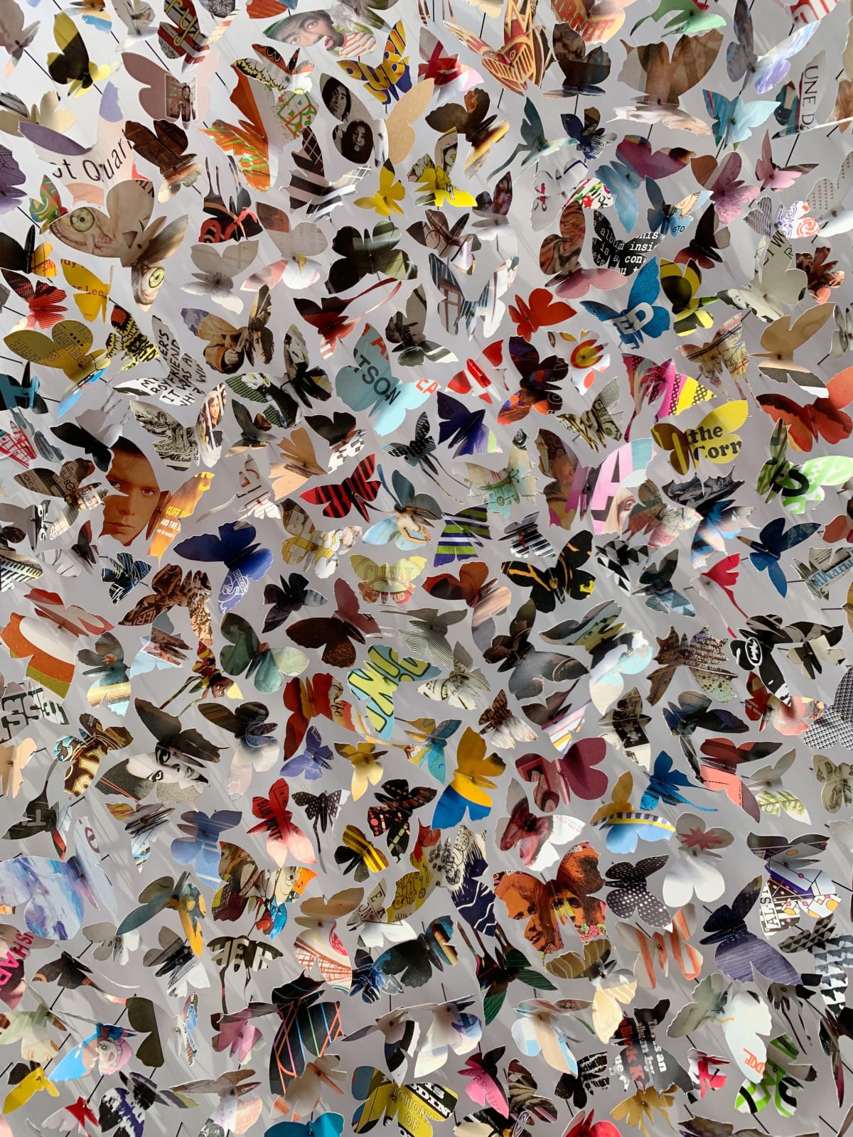 Rebecca J Coles, Albums 01