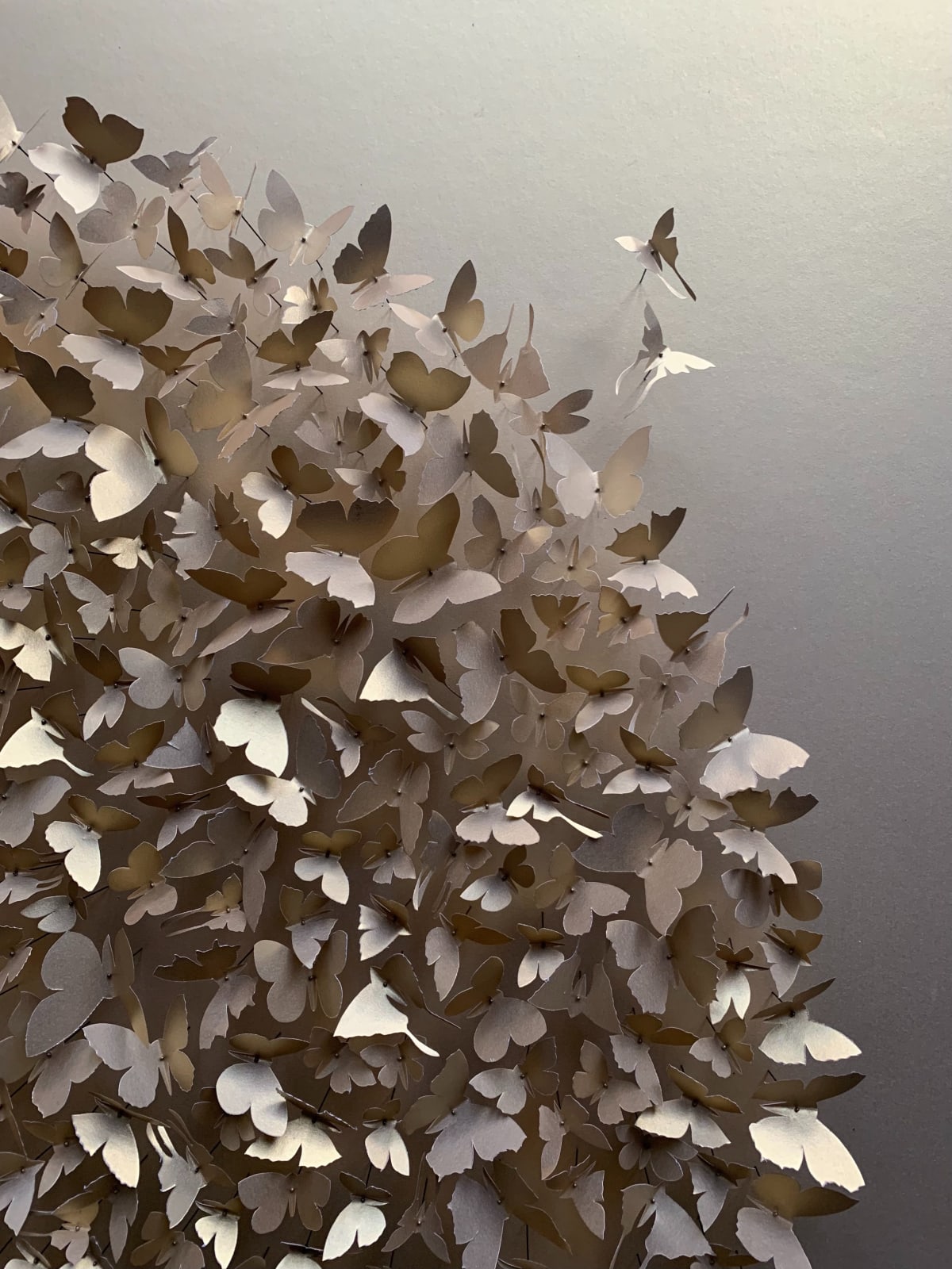 Rebecca J Coles, Gold 02