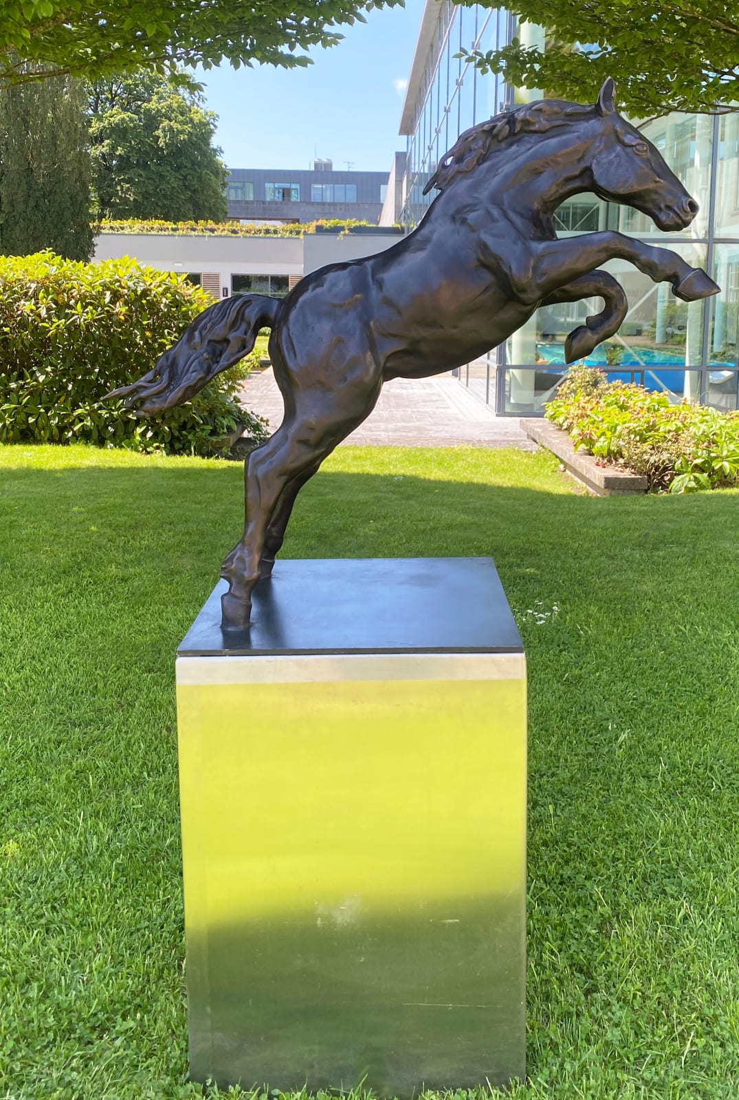 John Fitzgerald, Leap of Faith | One More Edition Available