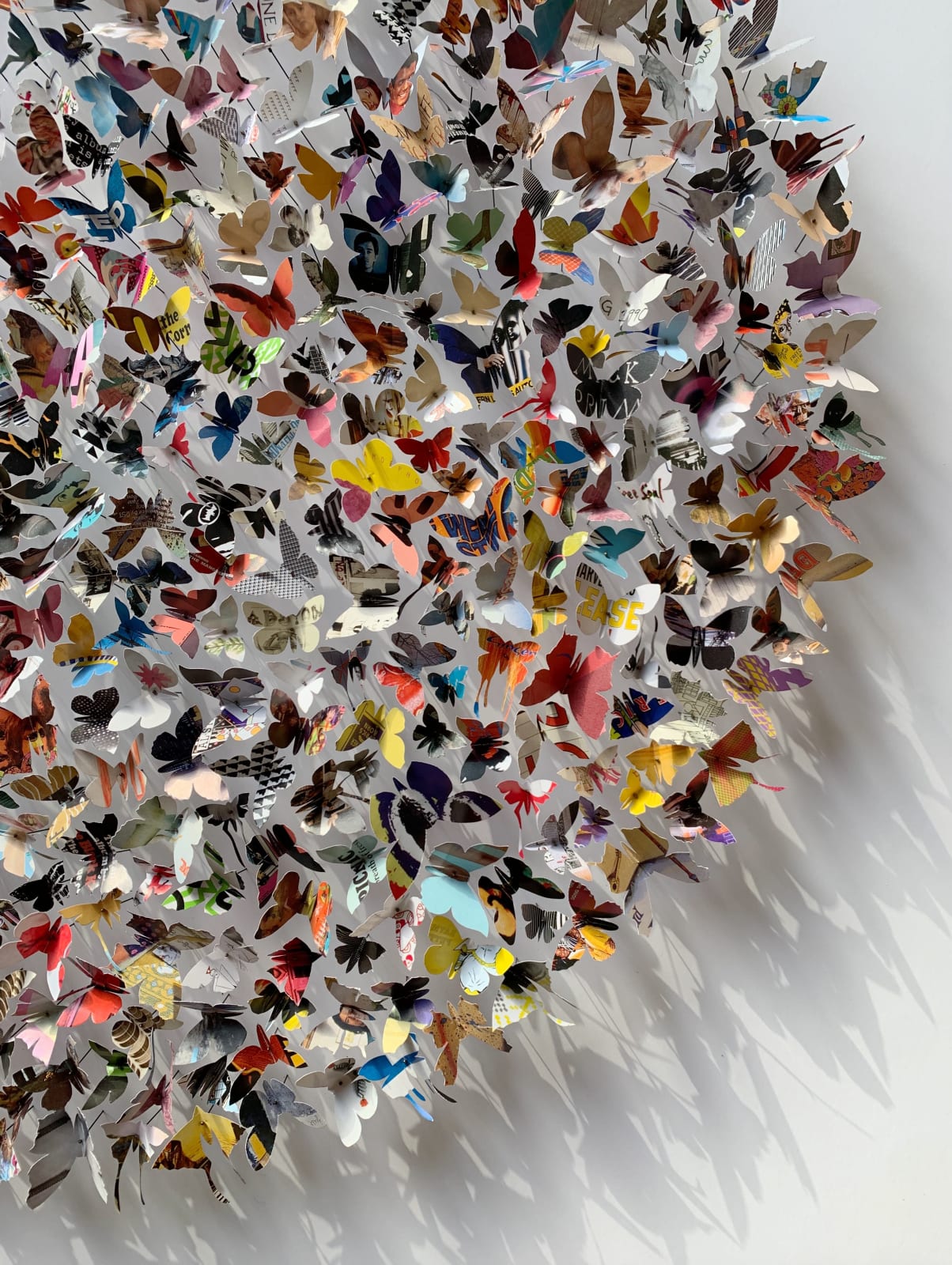 Rebecca J Coles, Albums 01