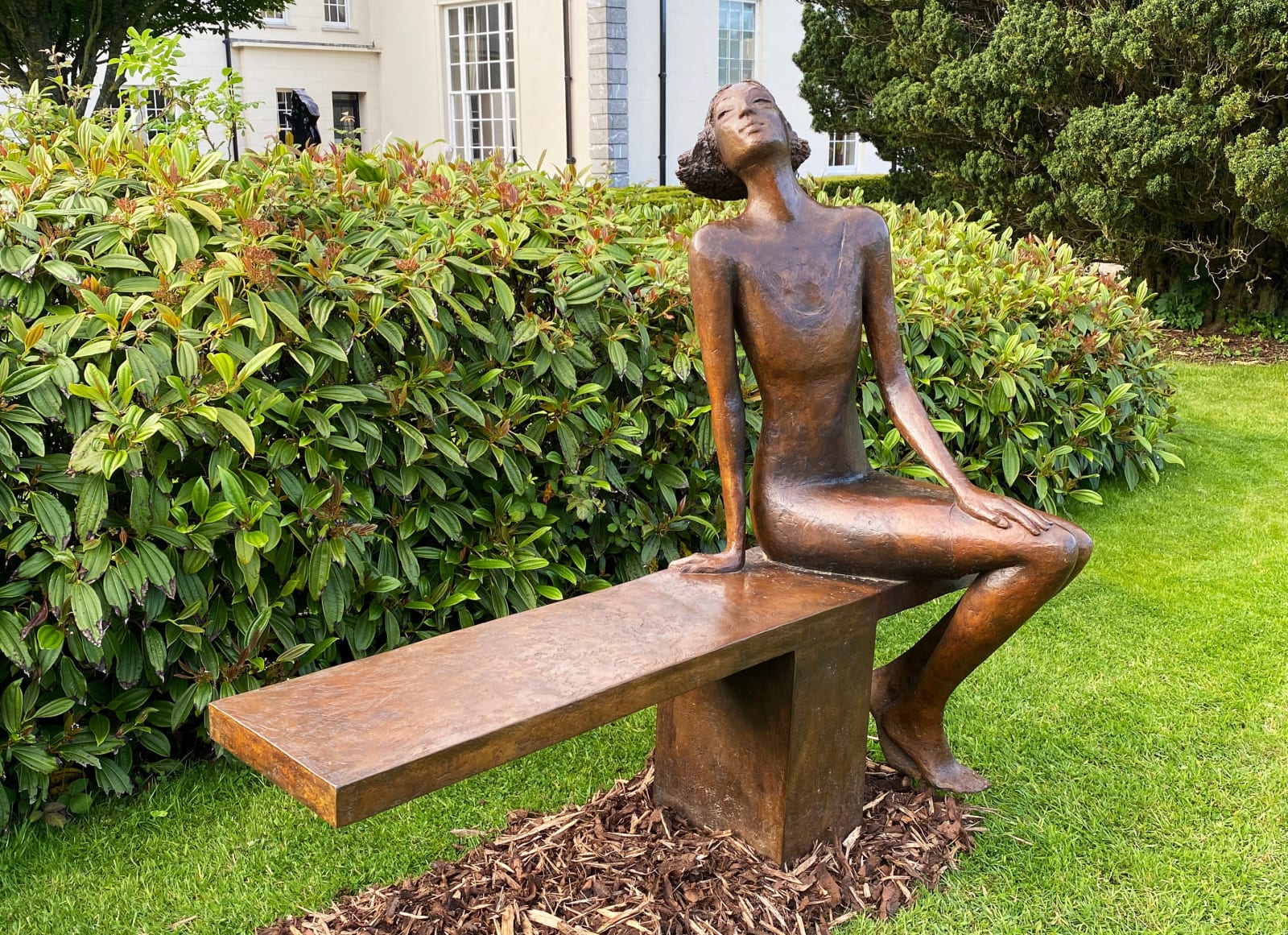 Bob Quinn, First Swallow