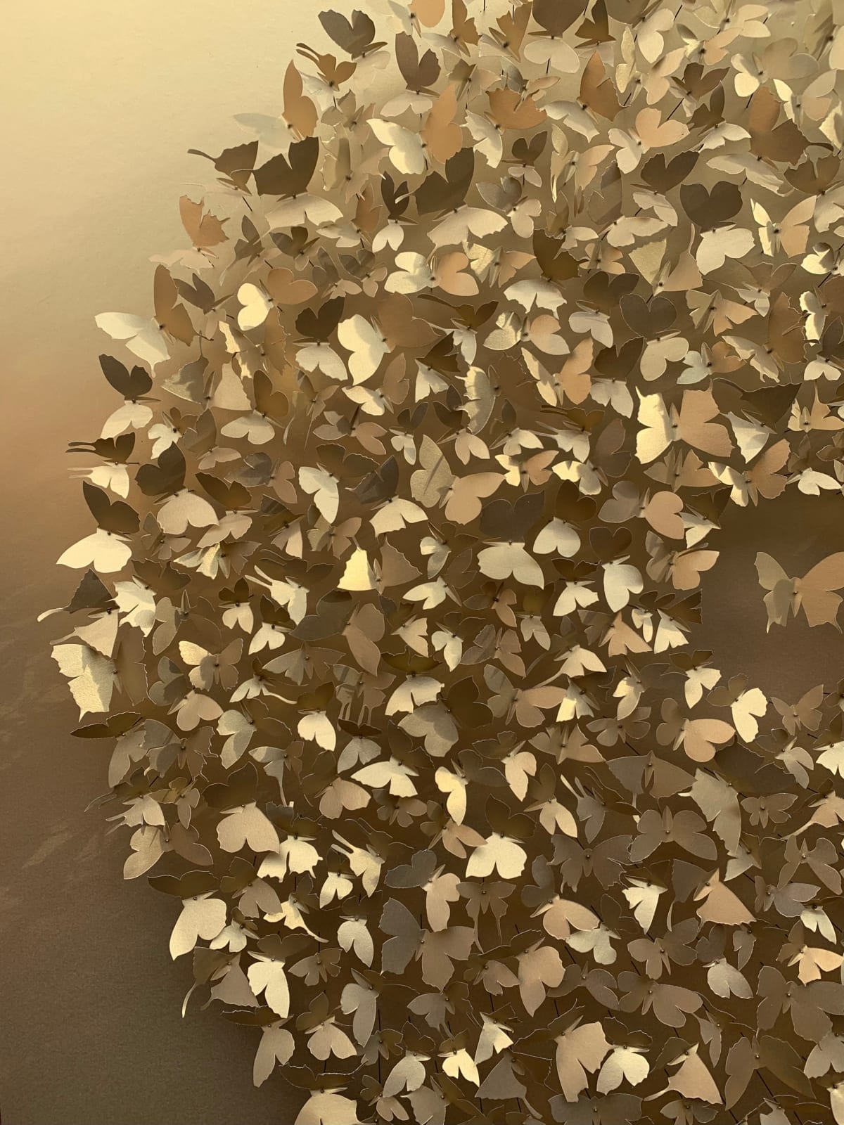 Rebecca J Coles, Gold 04