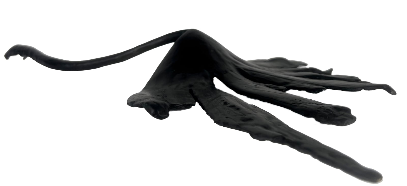 Vivienne Roche, After the Storm