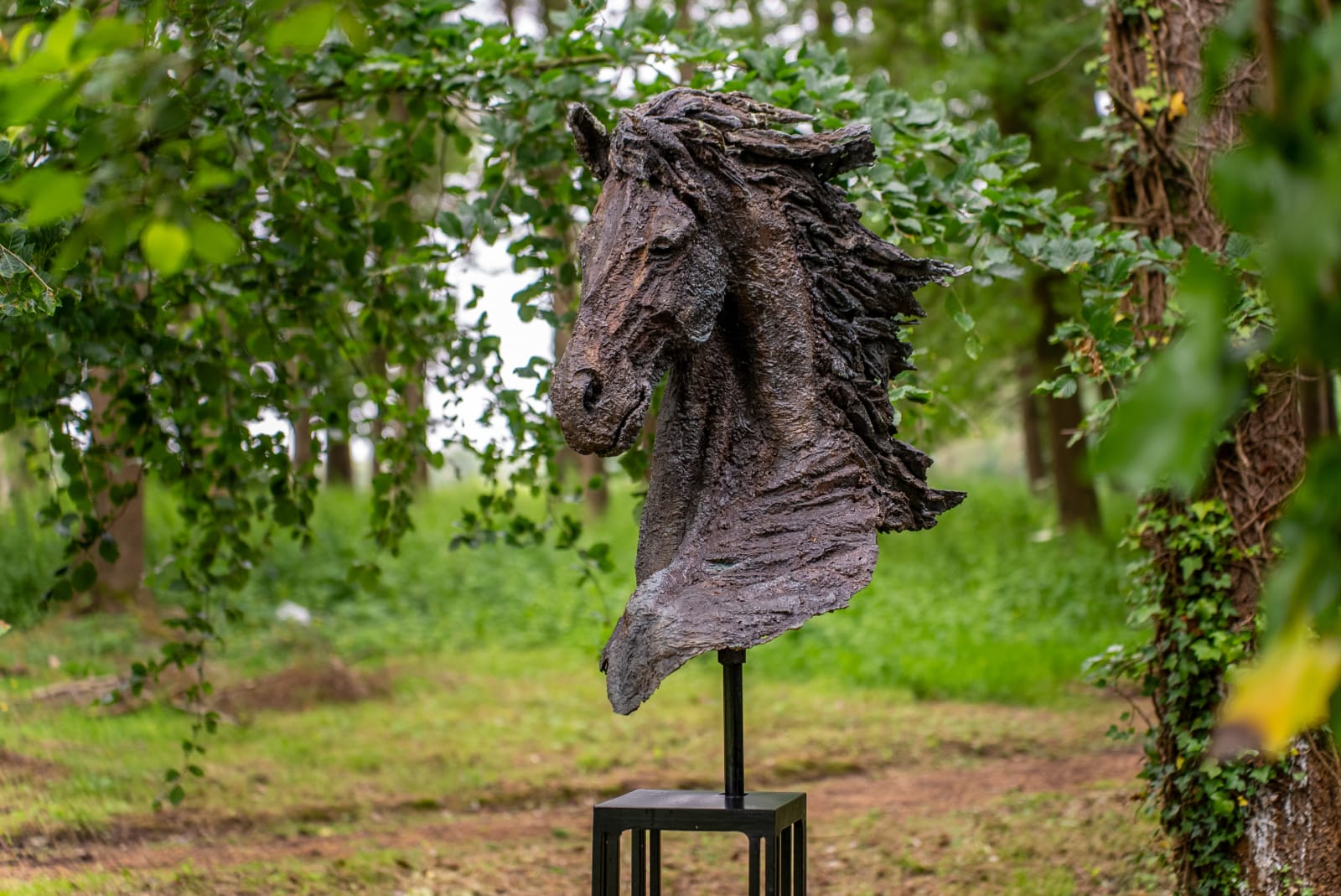 Eamonn Higgins, Legend of the Lough