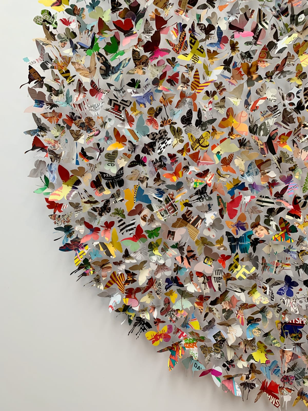 Rebecca J Coles, Albums 02