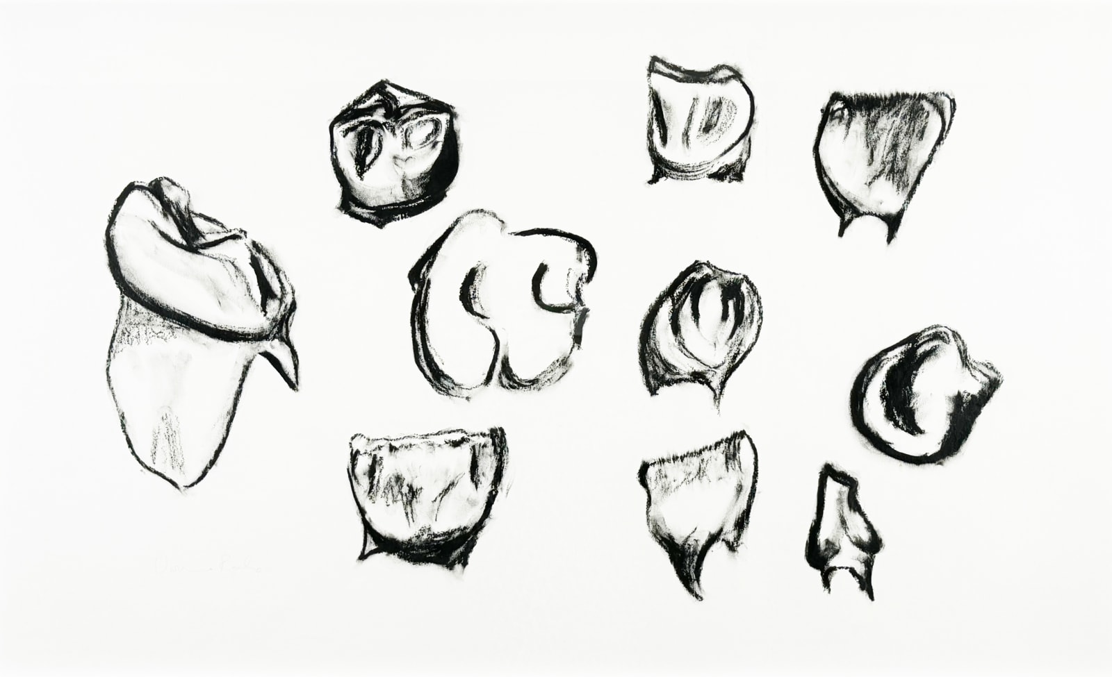 Vivienne Roche, Baby Teeth I