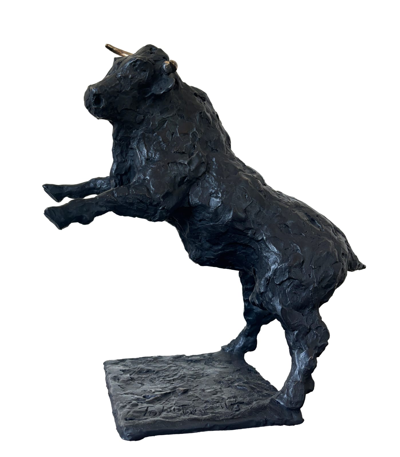 John Fitzgerald, Toro