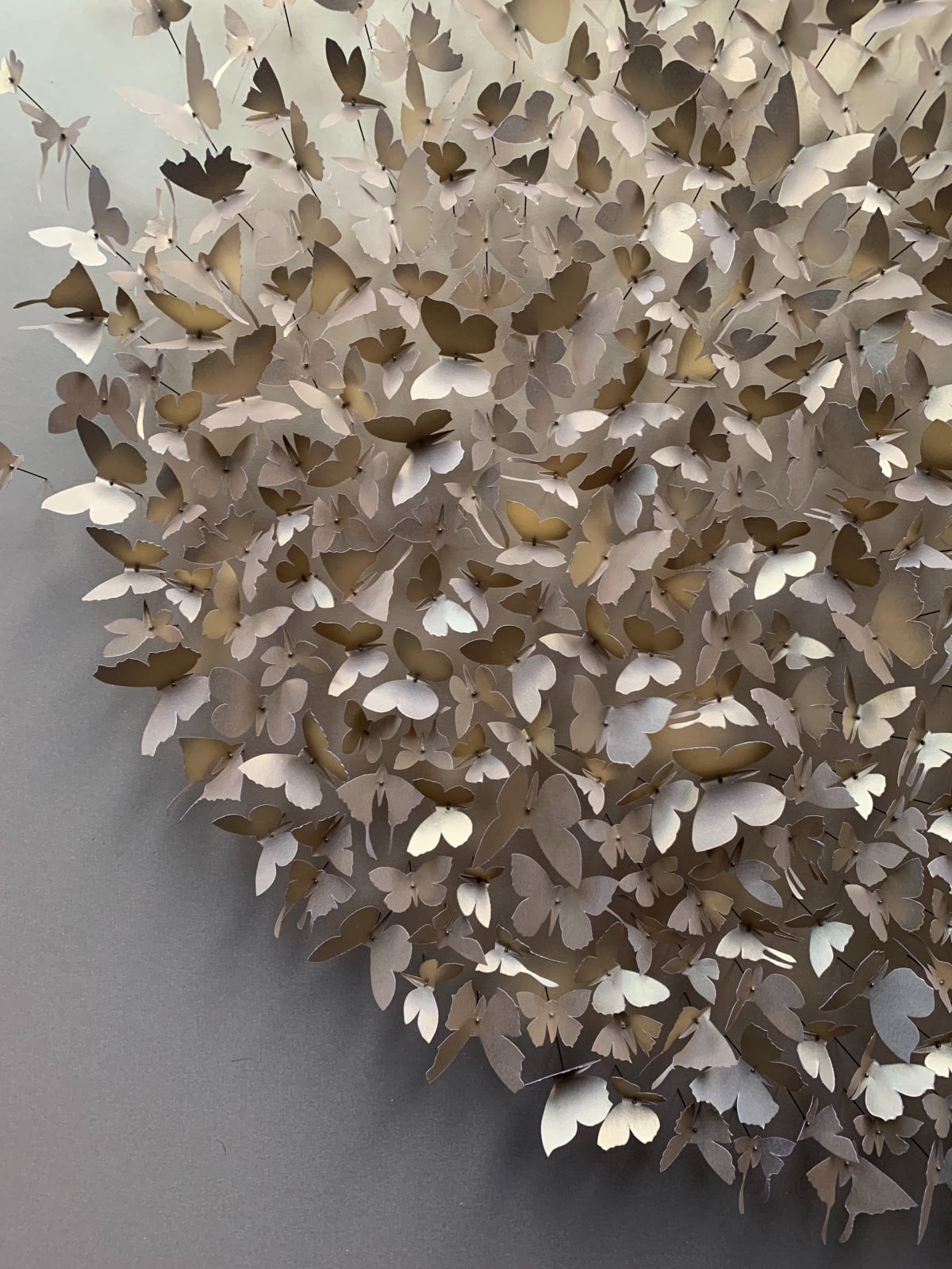 Rebecca J Coles, Gold 02