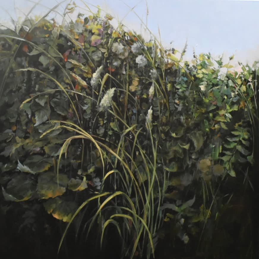 Sallyann Beirne, Hedge Grasses