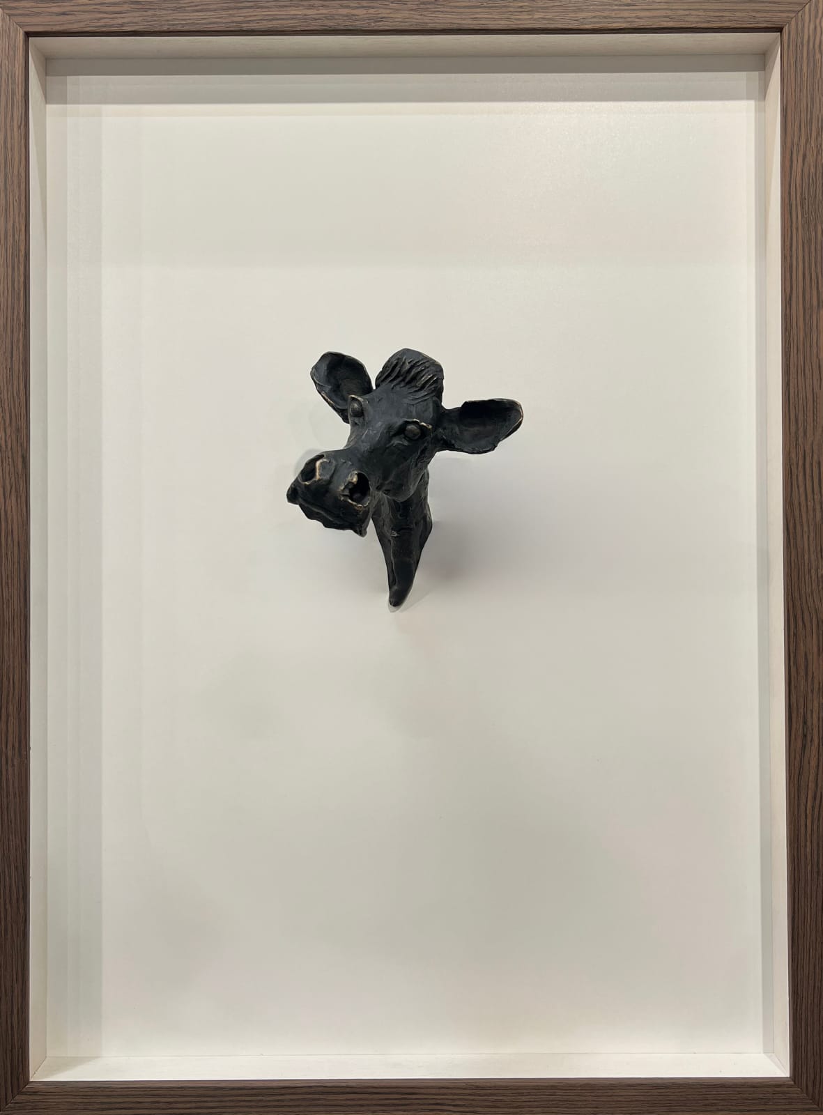 John Fitzgerald, Cowtastic