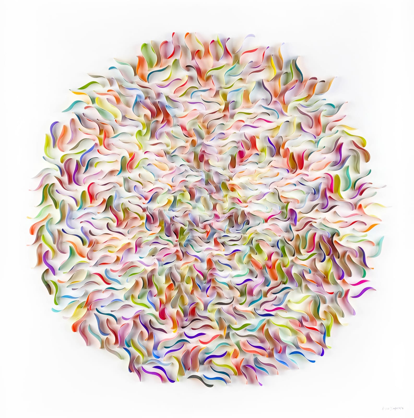 Peter Monaghan, Petals I