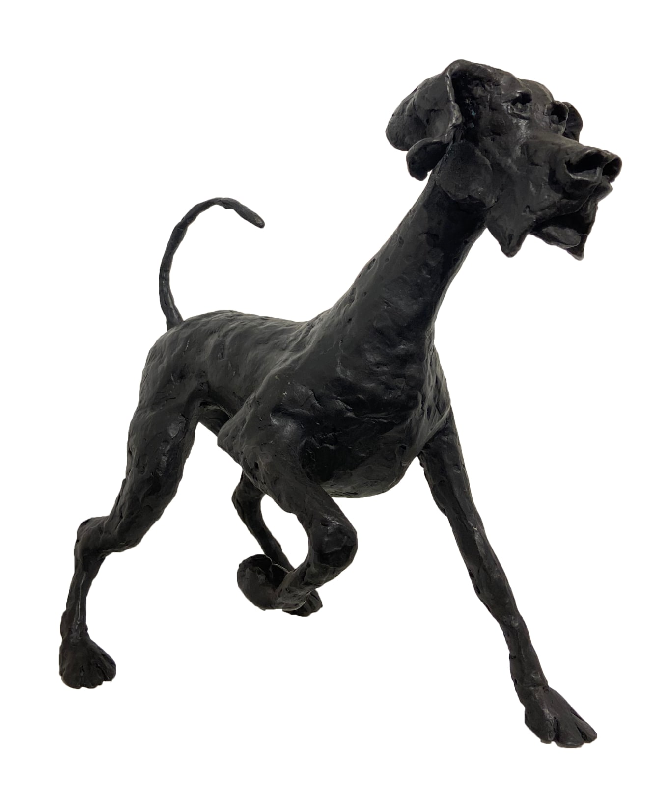 John Fitzgerald, Lucky Charm