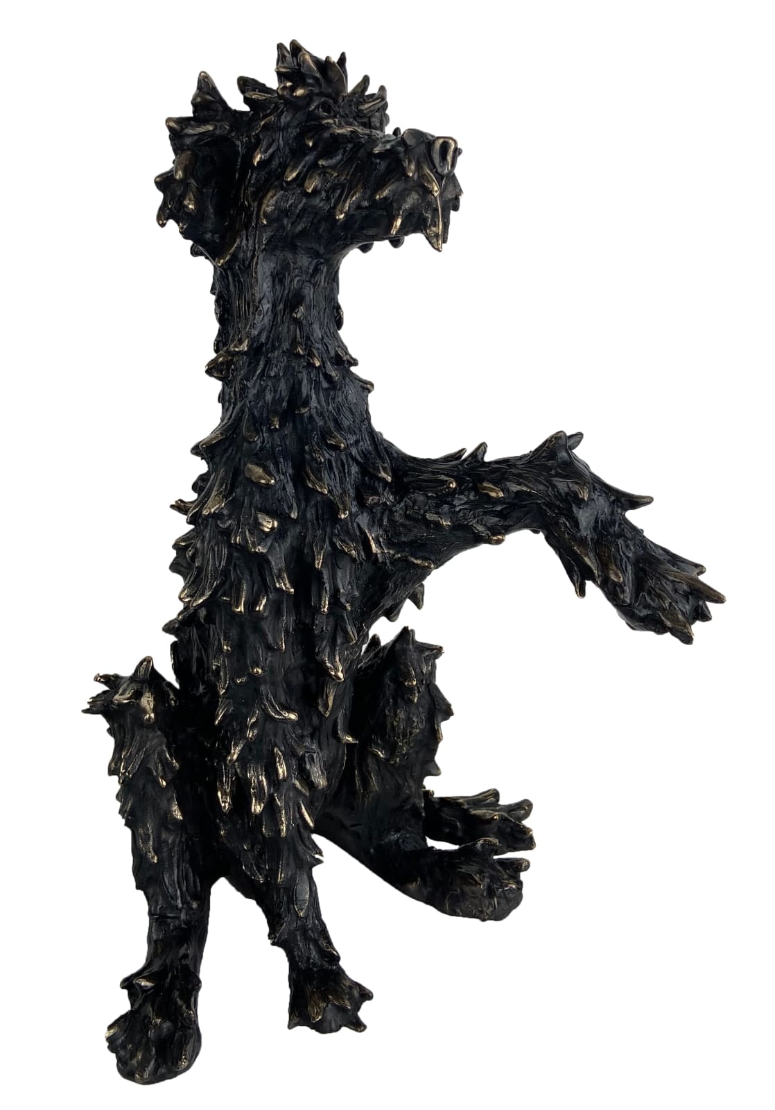 Patrick O'Reilly, Treat Please