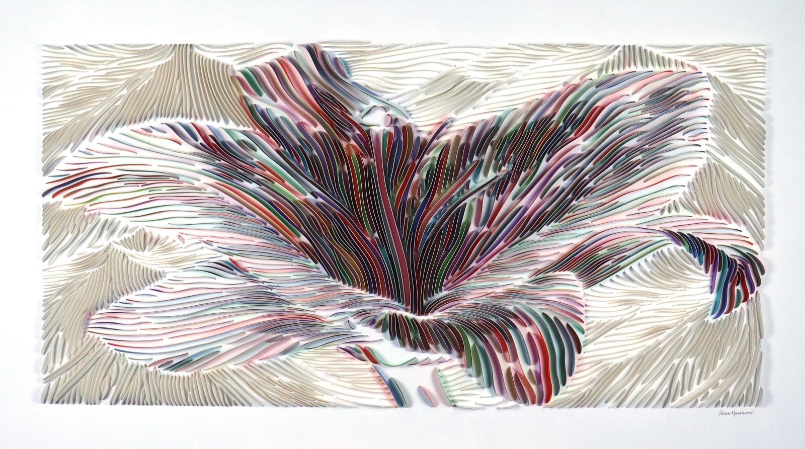 Peter Monaghan, Lily