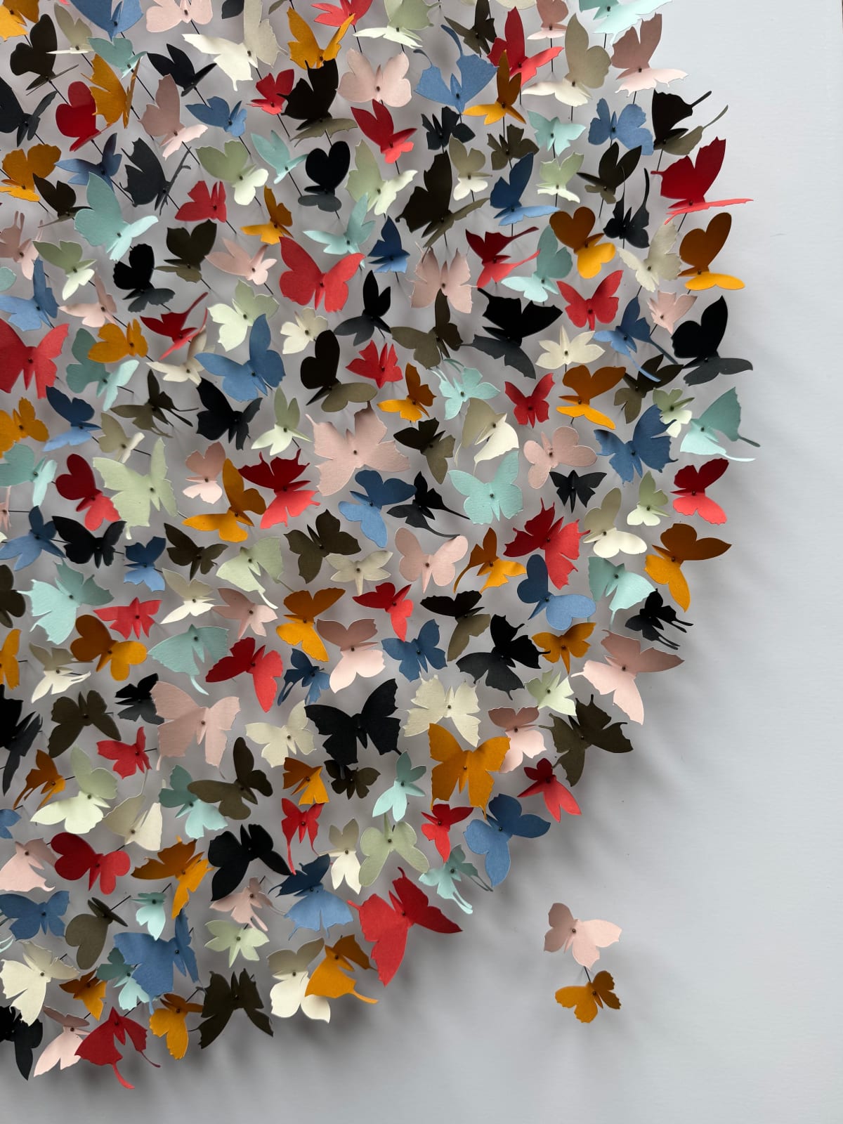 Rebecca J Coles, Colour Theory IV