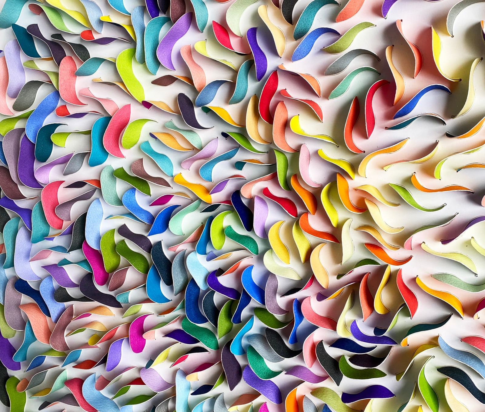 Peter Monaghan, Petals I