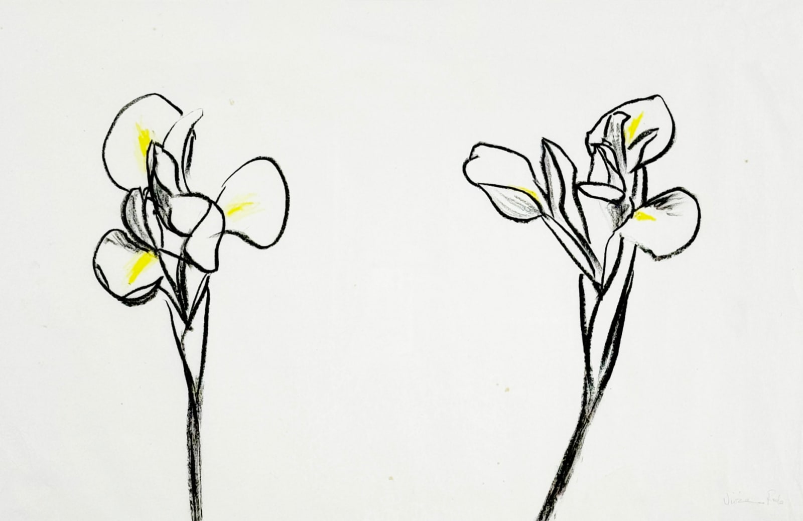 Vivienne Roche, Iris I