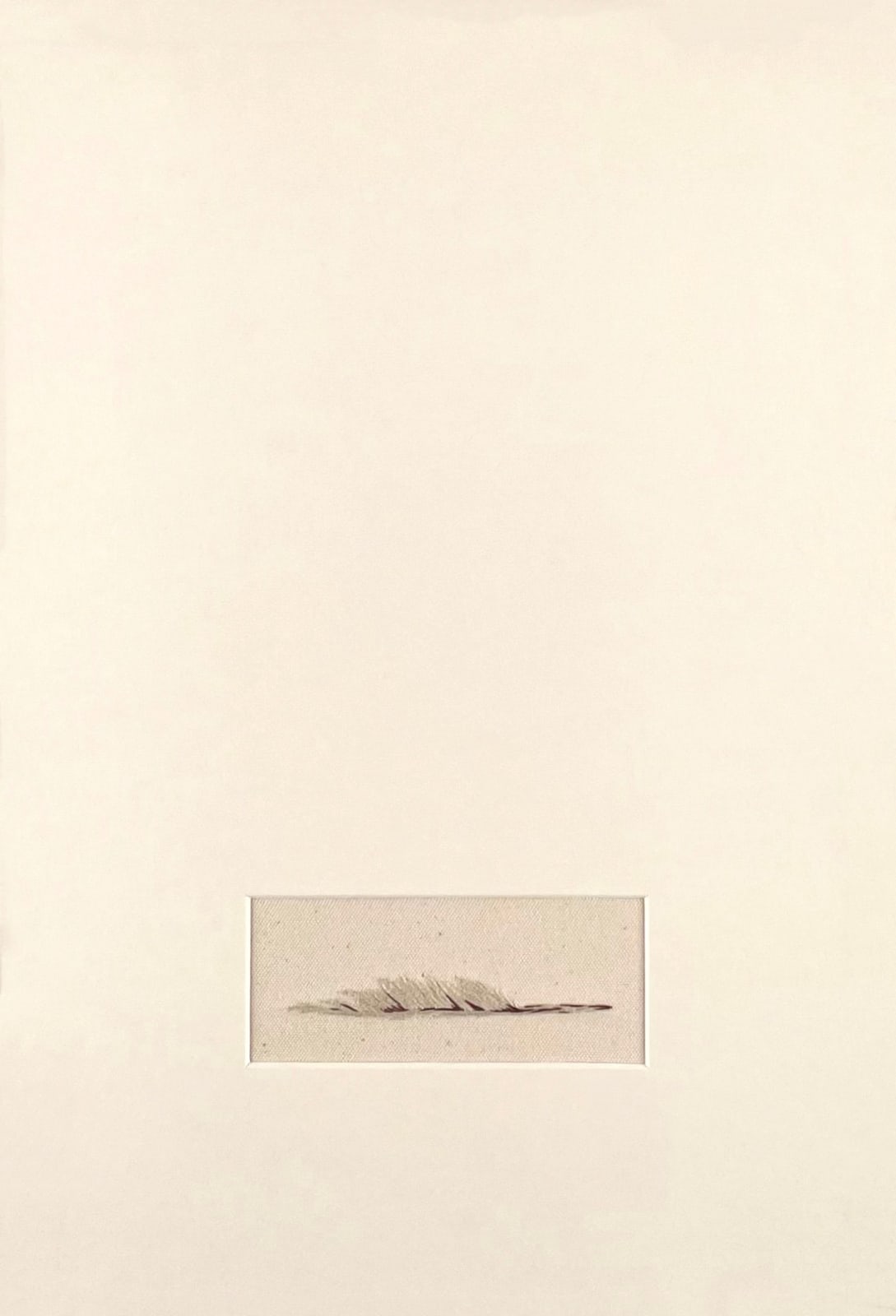 Domino Whisker, White Feather (think of me)