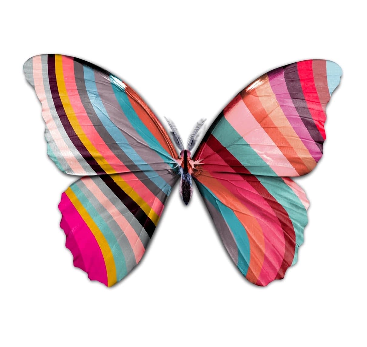 Ed Le Froy, Paul Smith