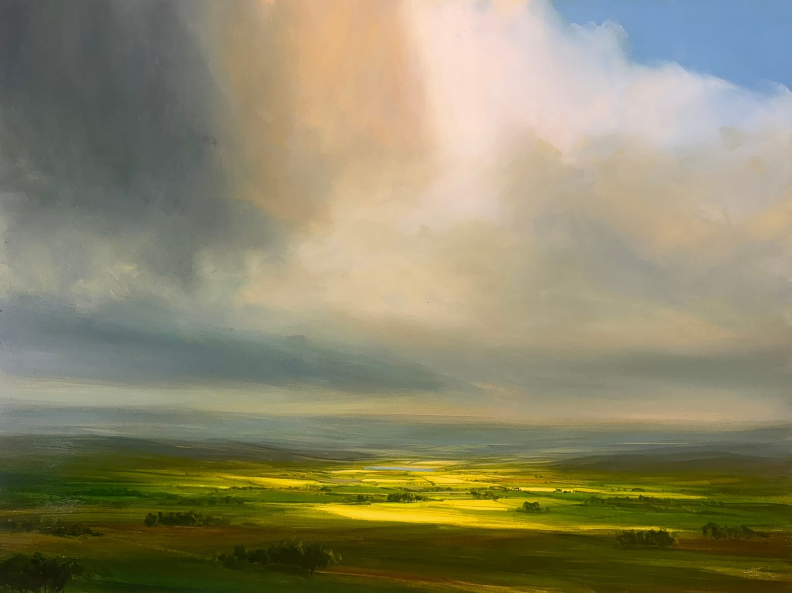 Harry Brioche, The Gilded Fields