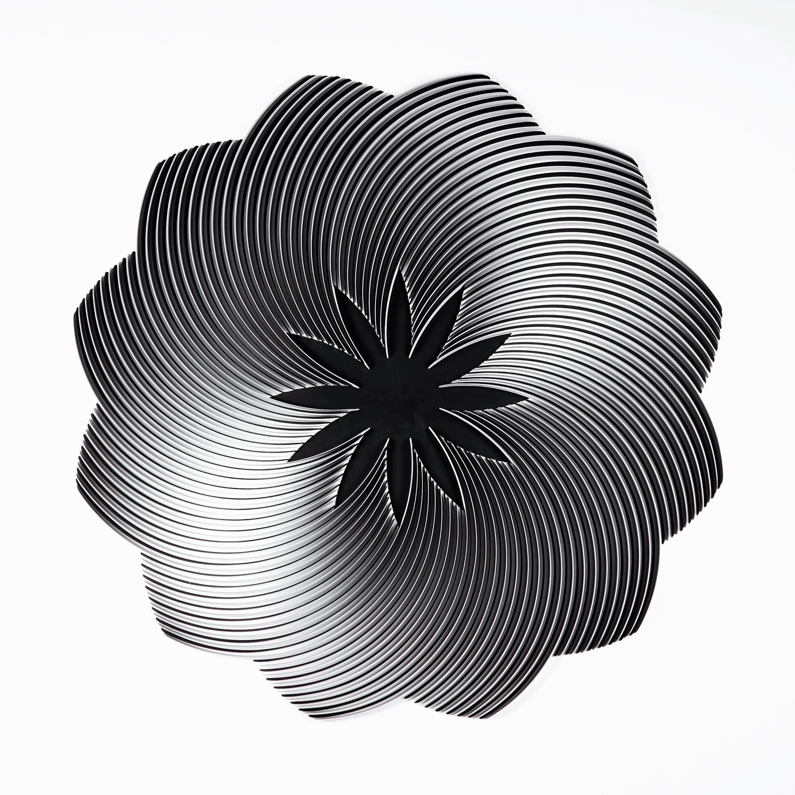 Peter Monaghan, Black and White Fibonacci