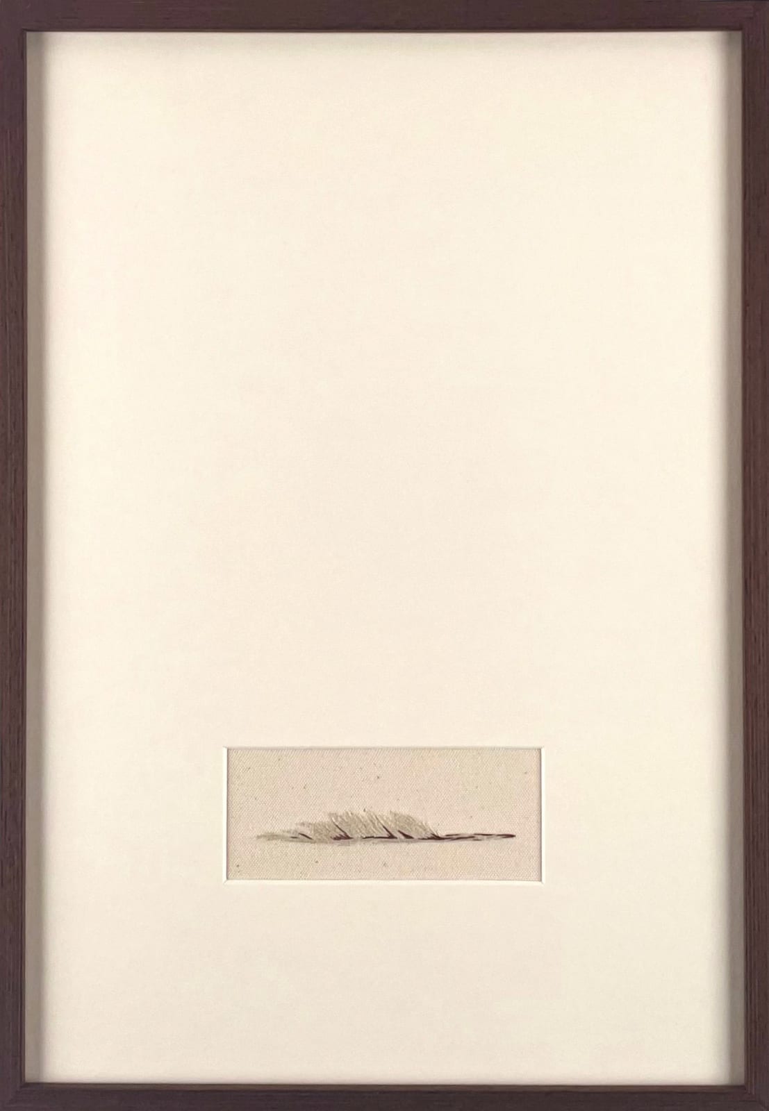 Domino Whisker, White Feather (think of me)