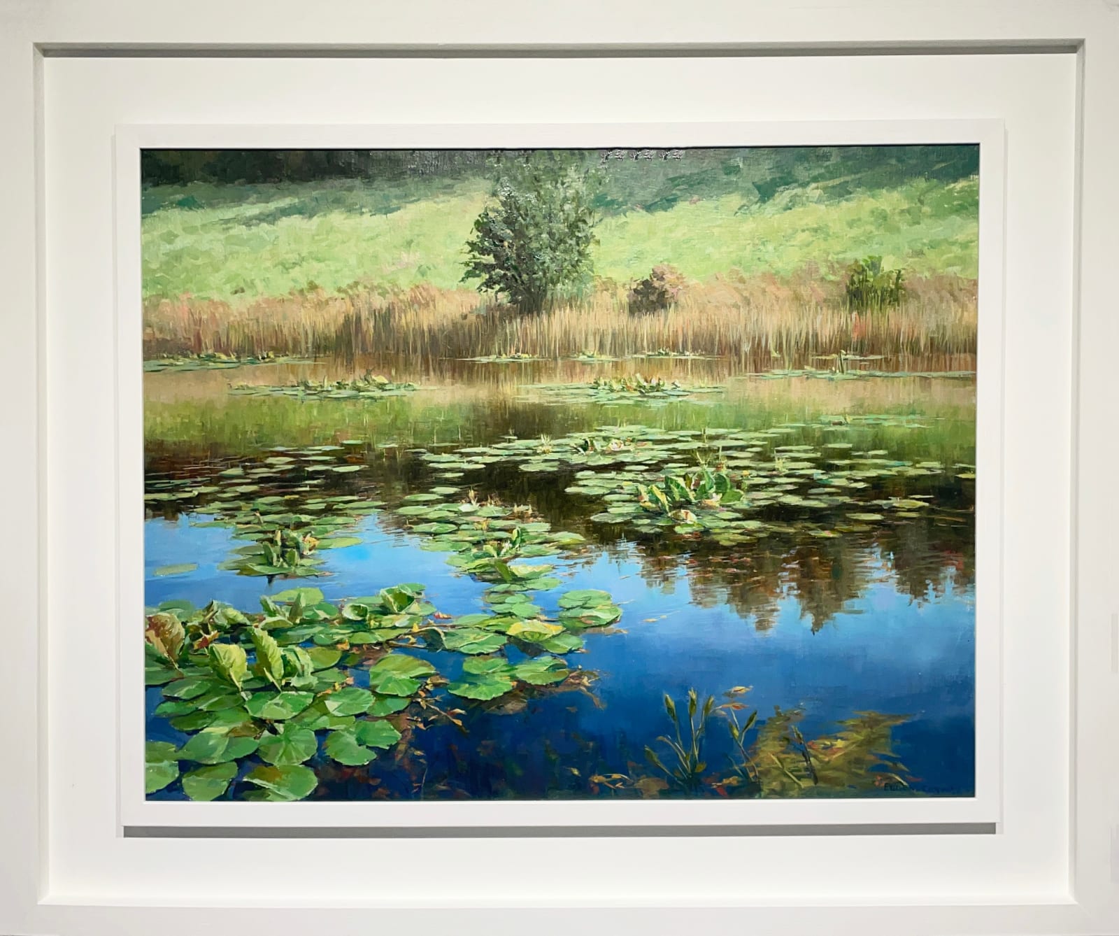 Eugene Conway, Water Lilies