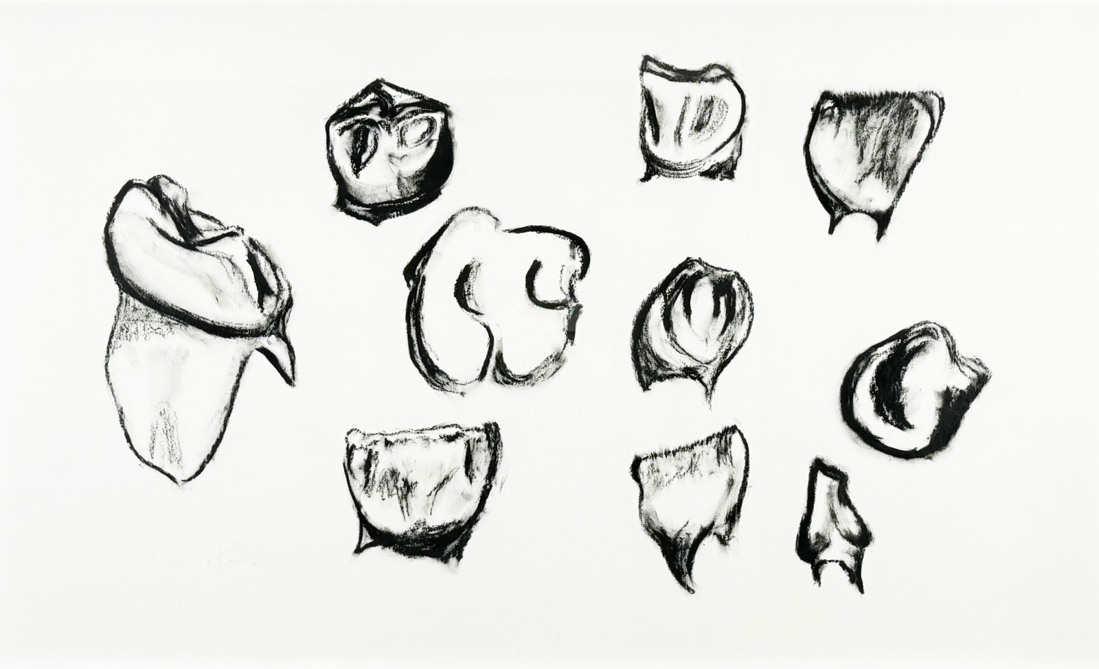 Vivienne Roche, Baby Teeth I