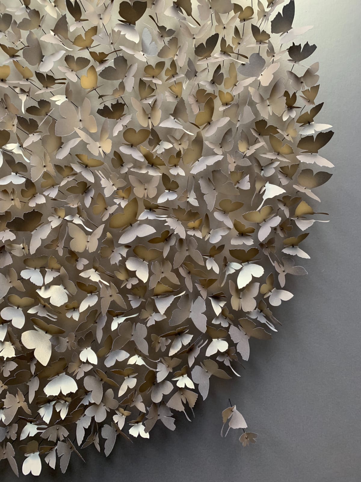Rebecca J Coles, Gold 02