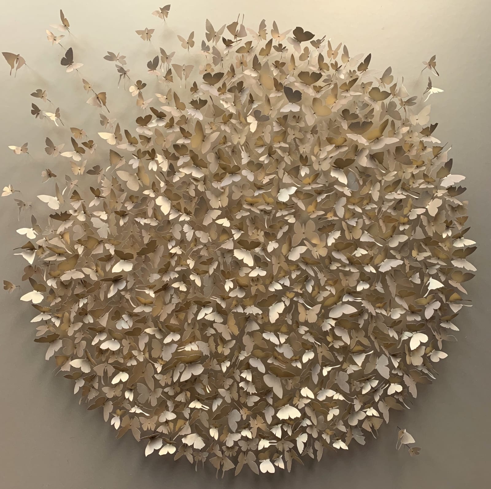 Rebecca J Coles, Gold 02