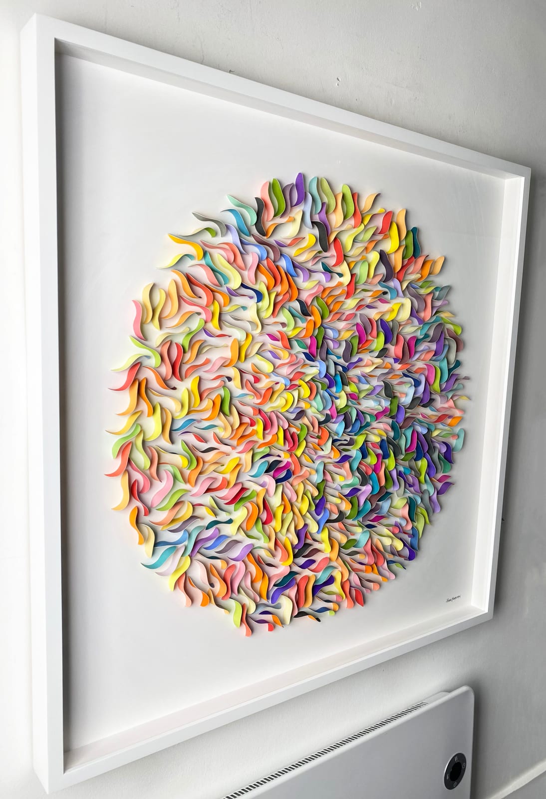 Peter Monaghan, Petals I