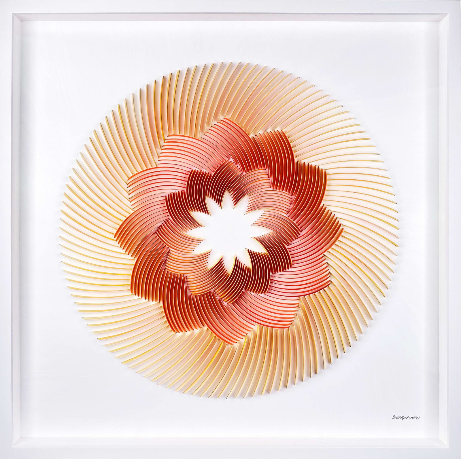 Peter Monaghan, Red and Yellow Rose