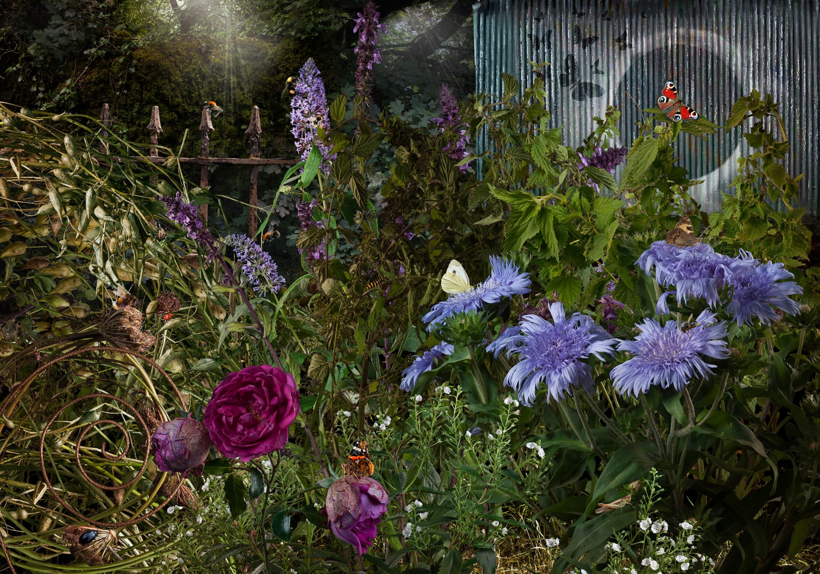 Christine Simpson, The Importance of BEEing insects