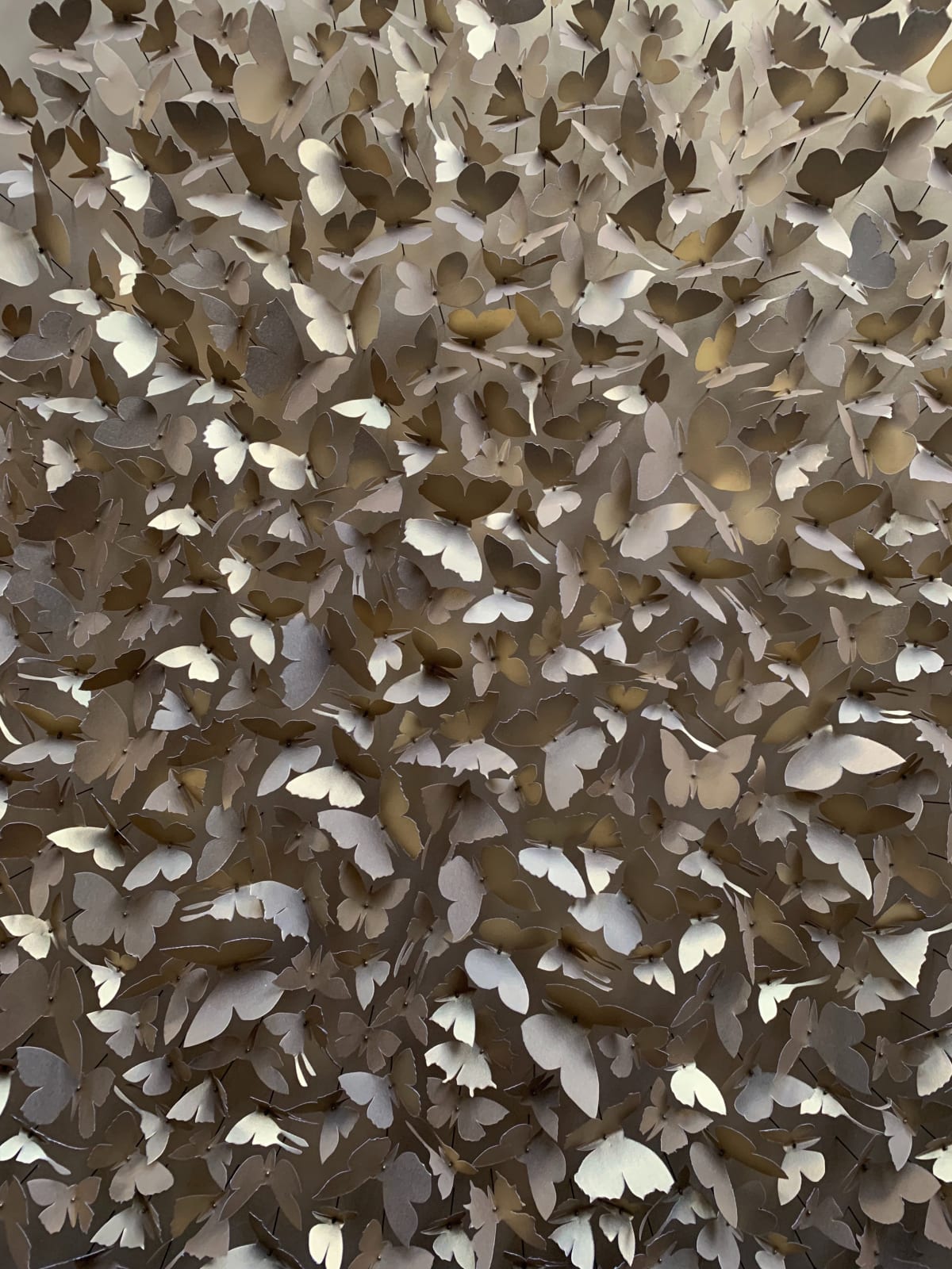 Rebecca J Coles, Gold 02
