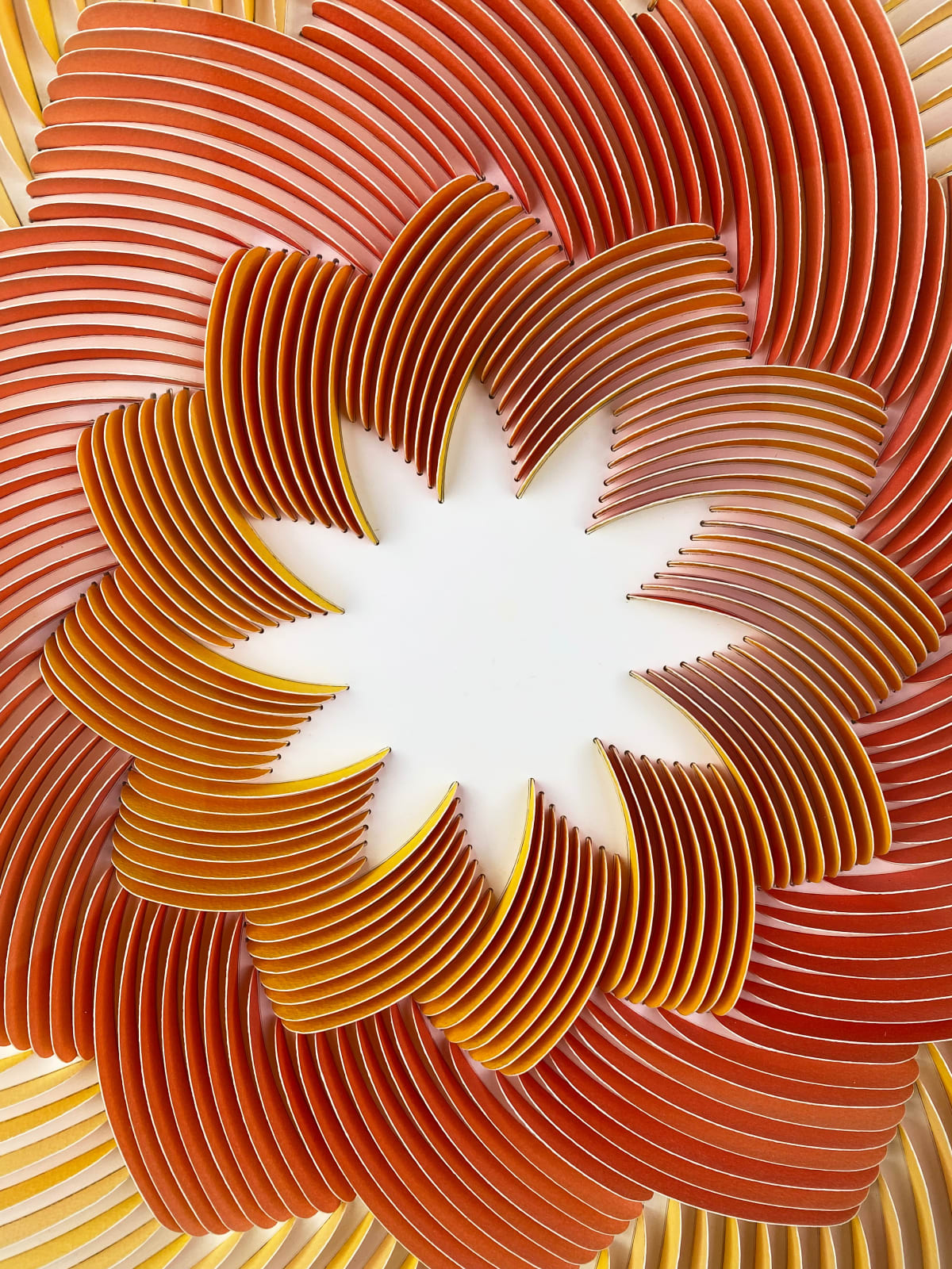 Peter Monaghan, Red and Yellow Rose