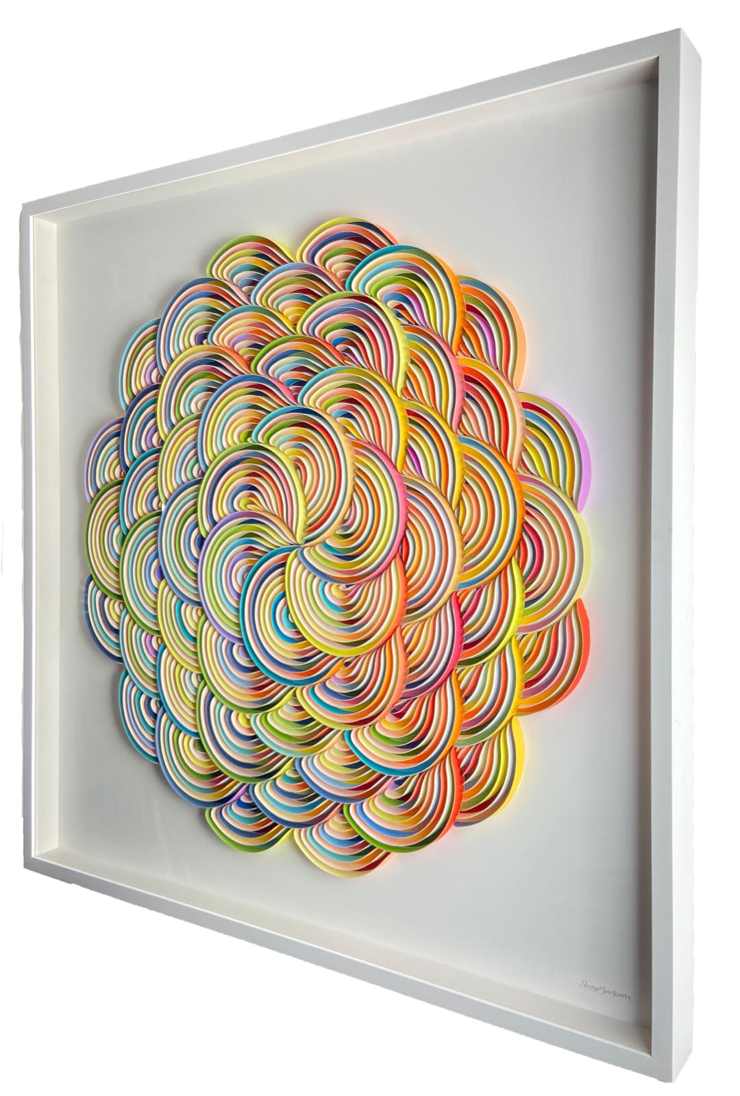 Peter Monaghan, Blooming