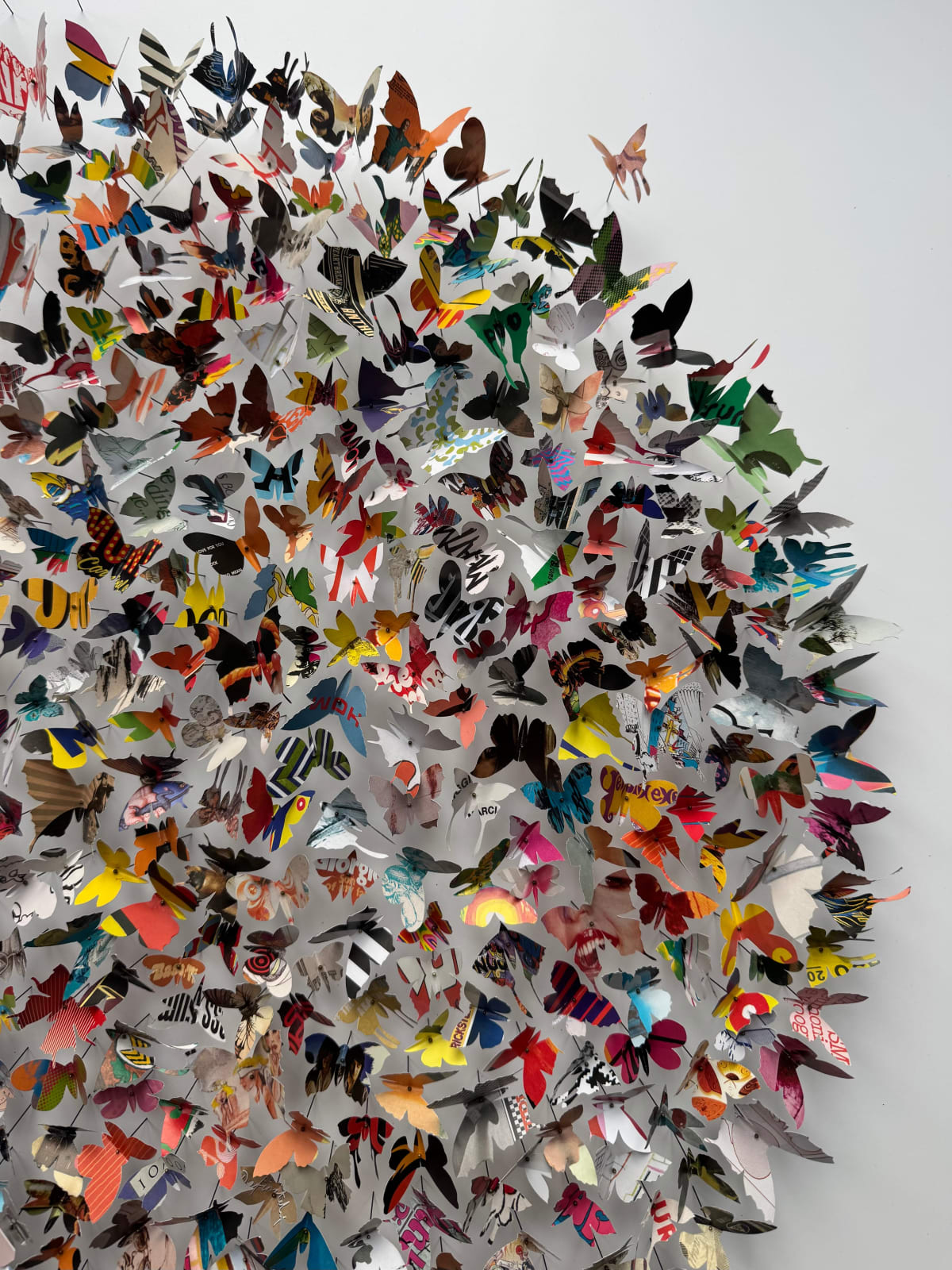 Rebecca J Coles, Albums XI